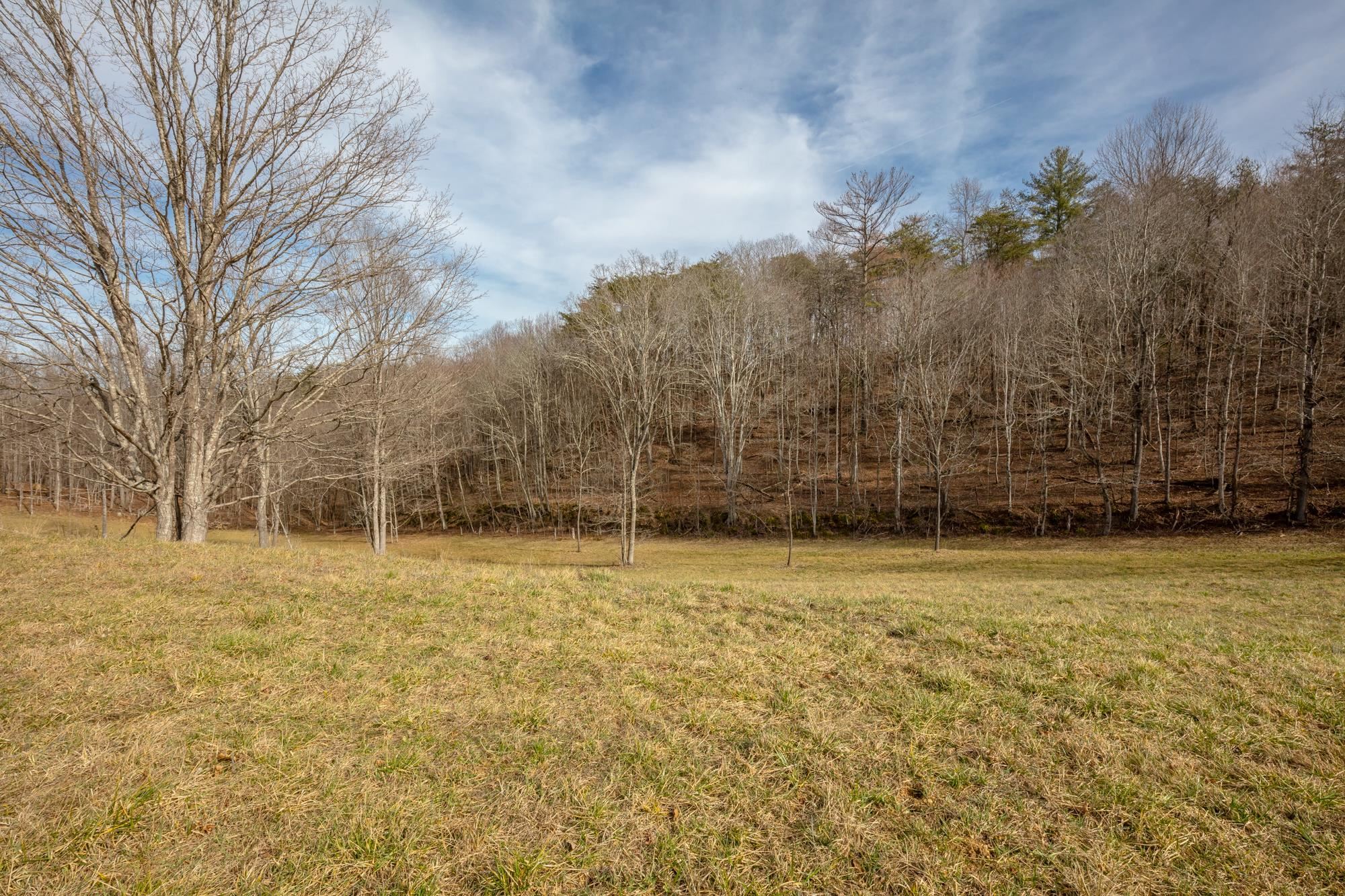 Tbd Blackberry Lane Hiwassee VA 24347