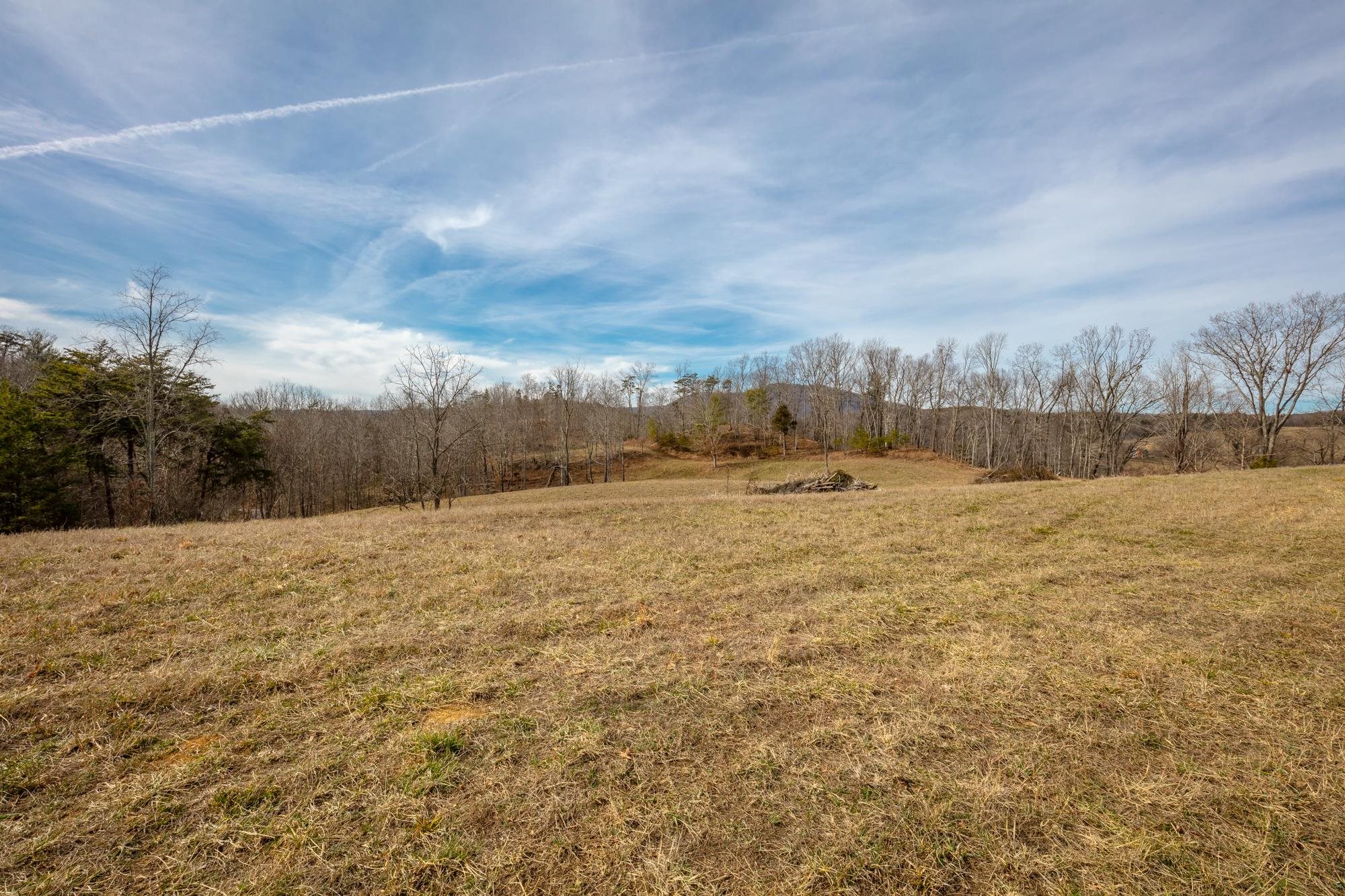 Tbd Blackberry Lane Hiwassee VA 24347