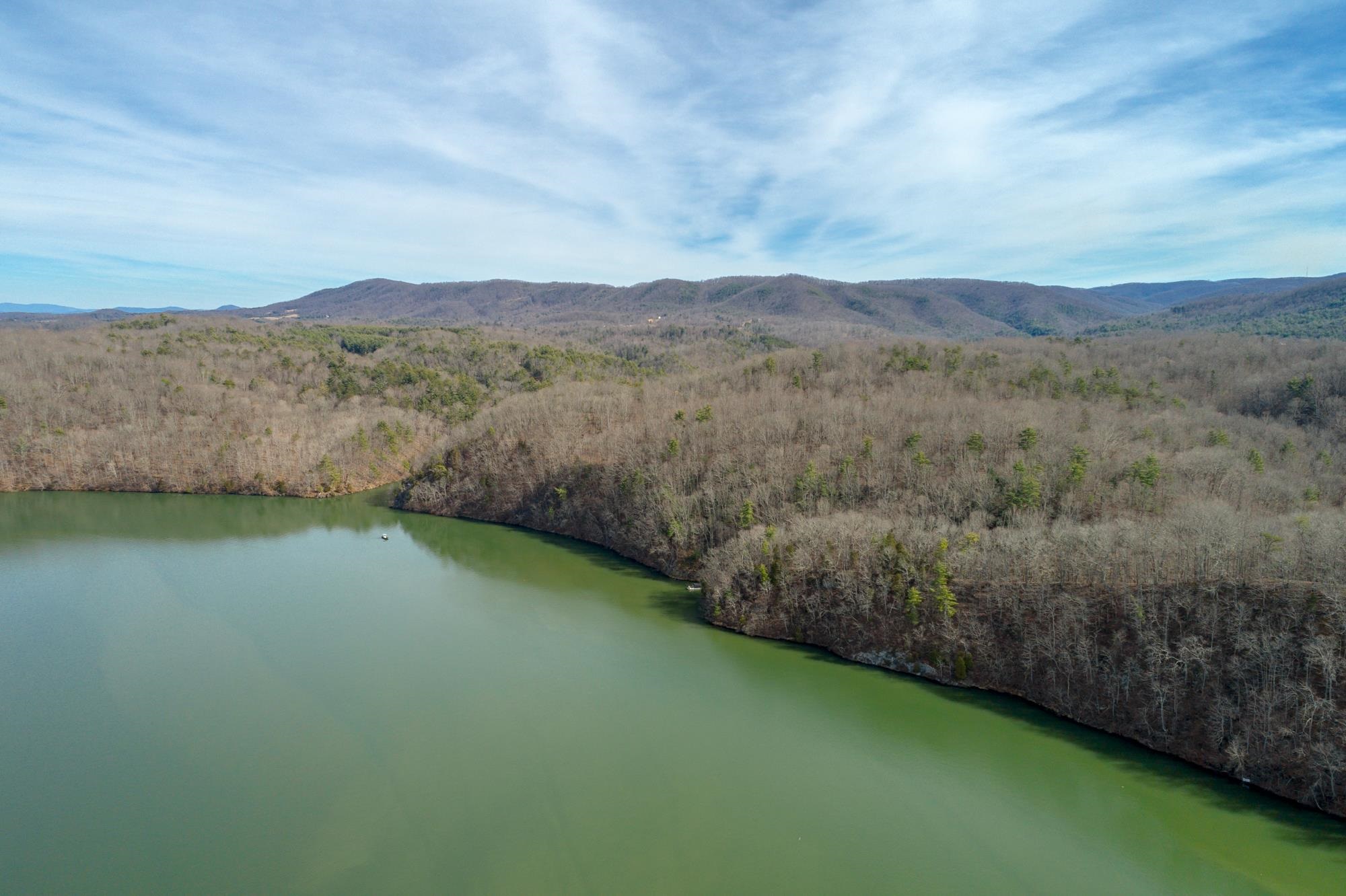 Tbd Blackberry Lane Hiwassee VA 24347