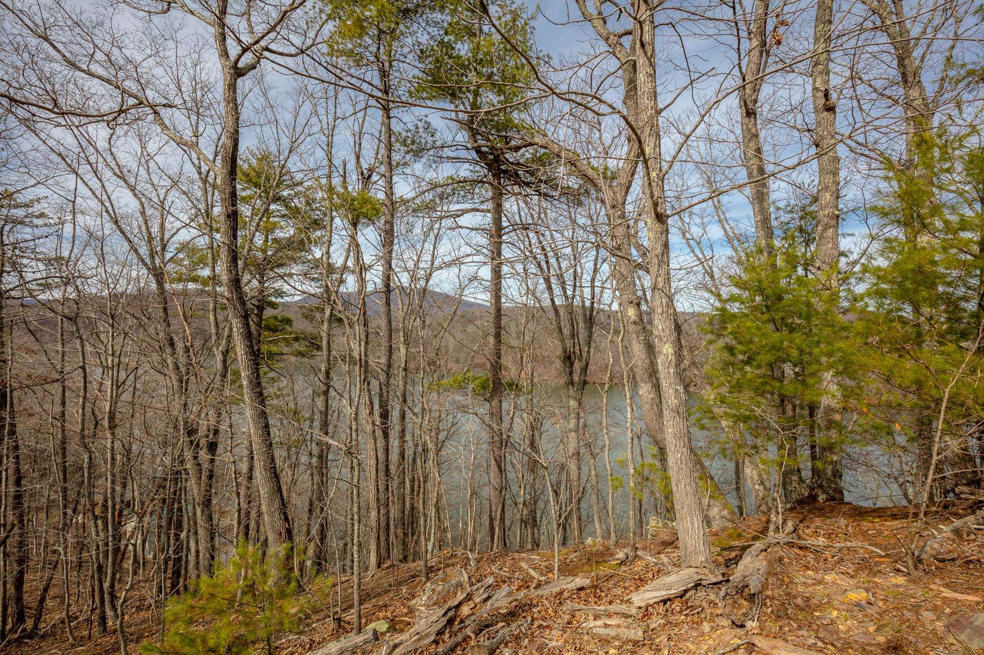 Tbd Blackberry Lane Hiwassee VA 24347