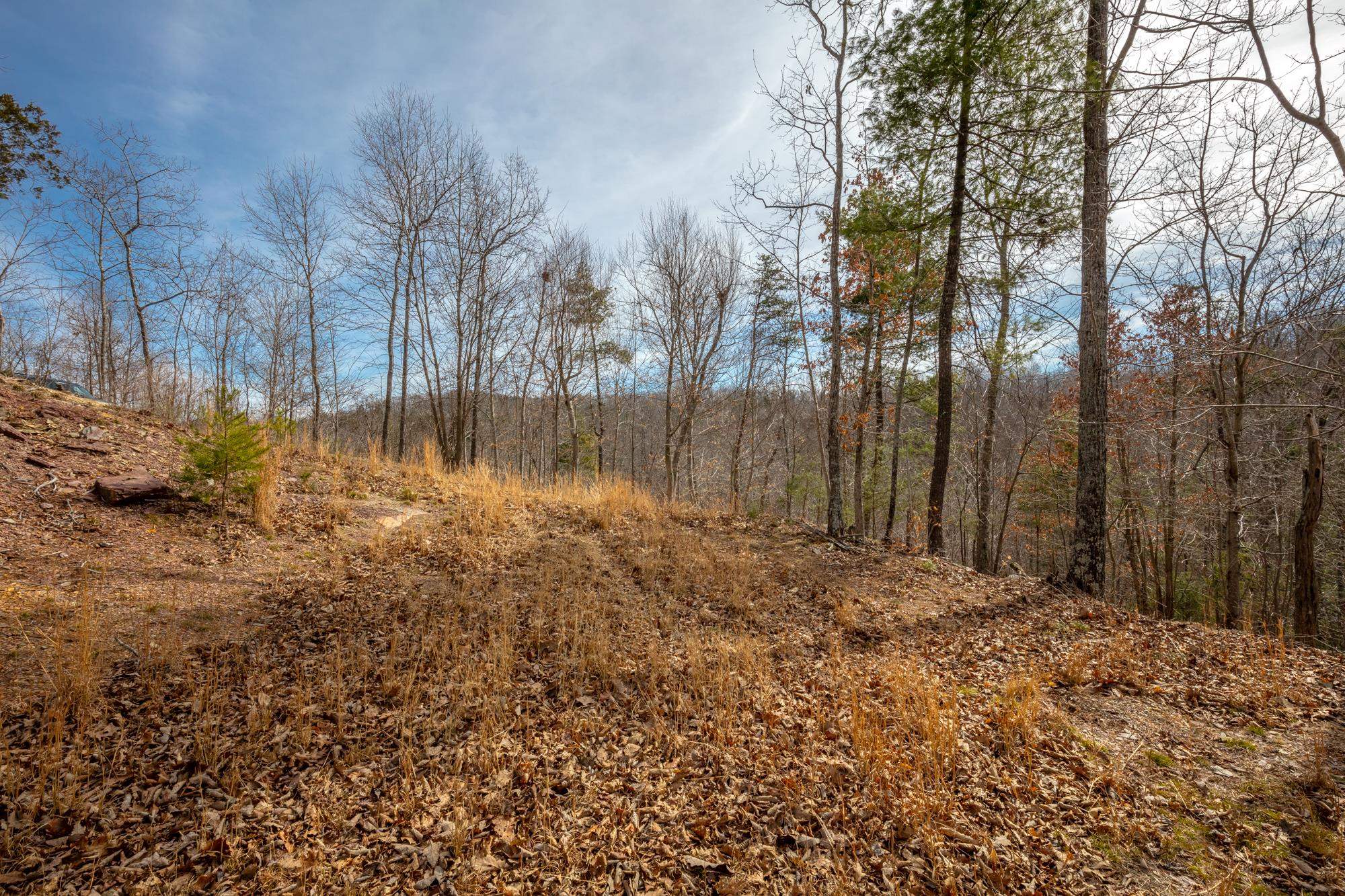 Tbd Blackberry Lane Hiwassee VA 24347