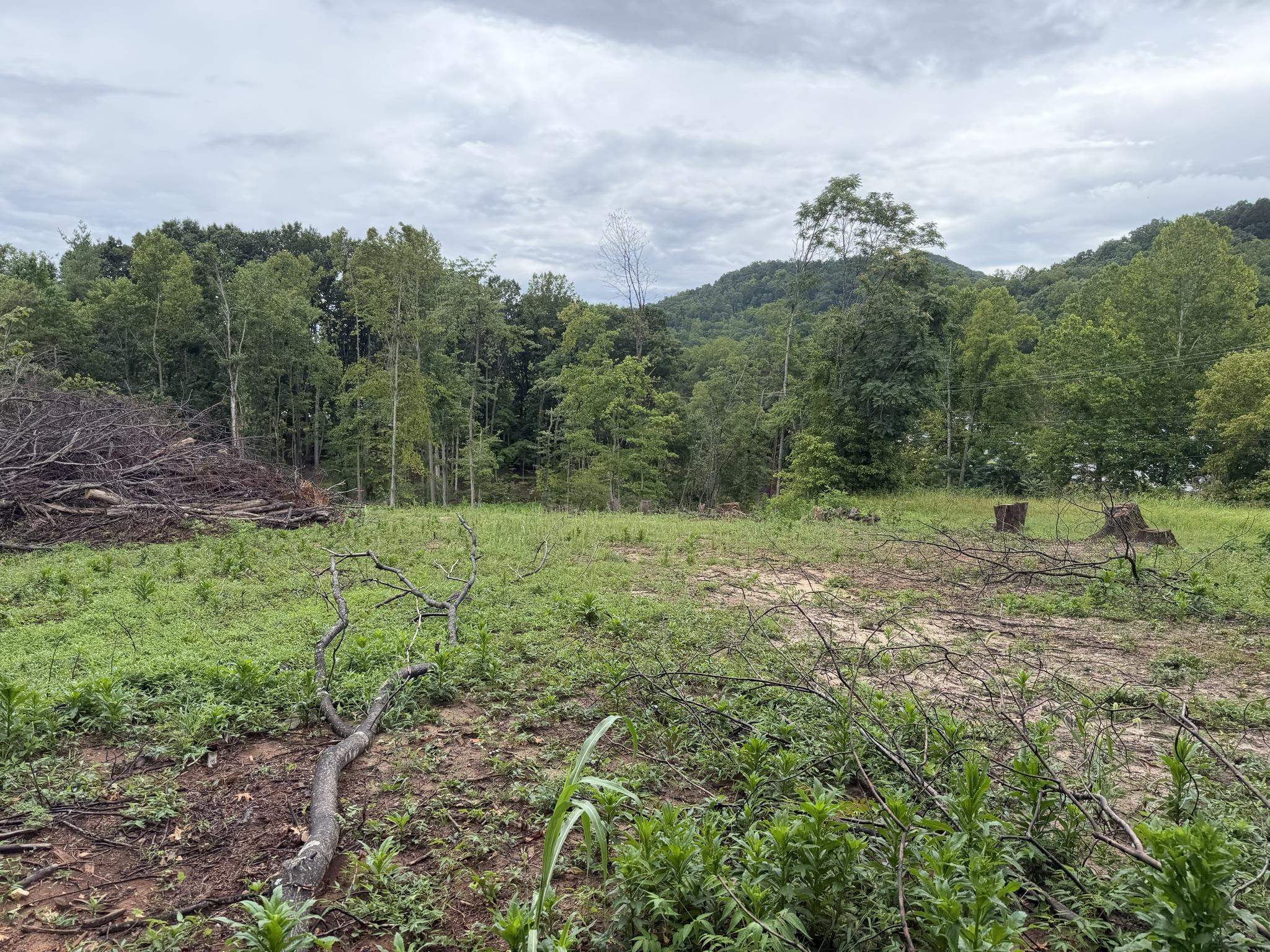 Tbd Virgil H Goode Highway Rocky Mount VA 24151