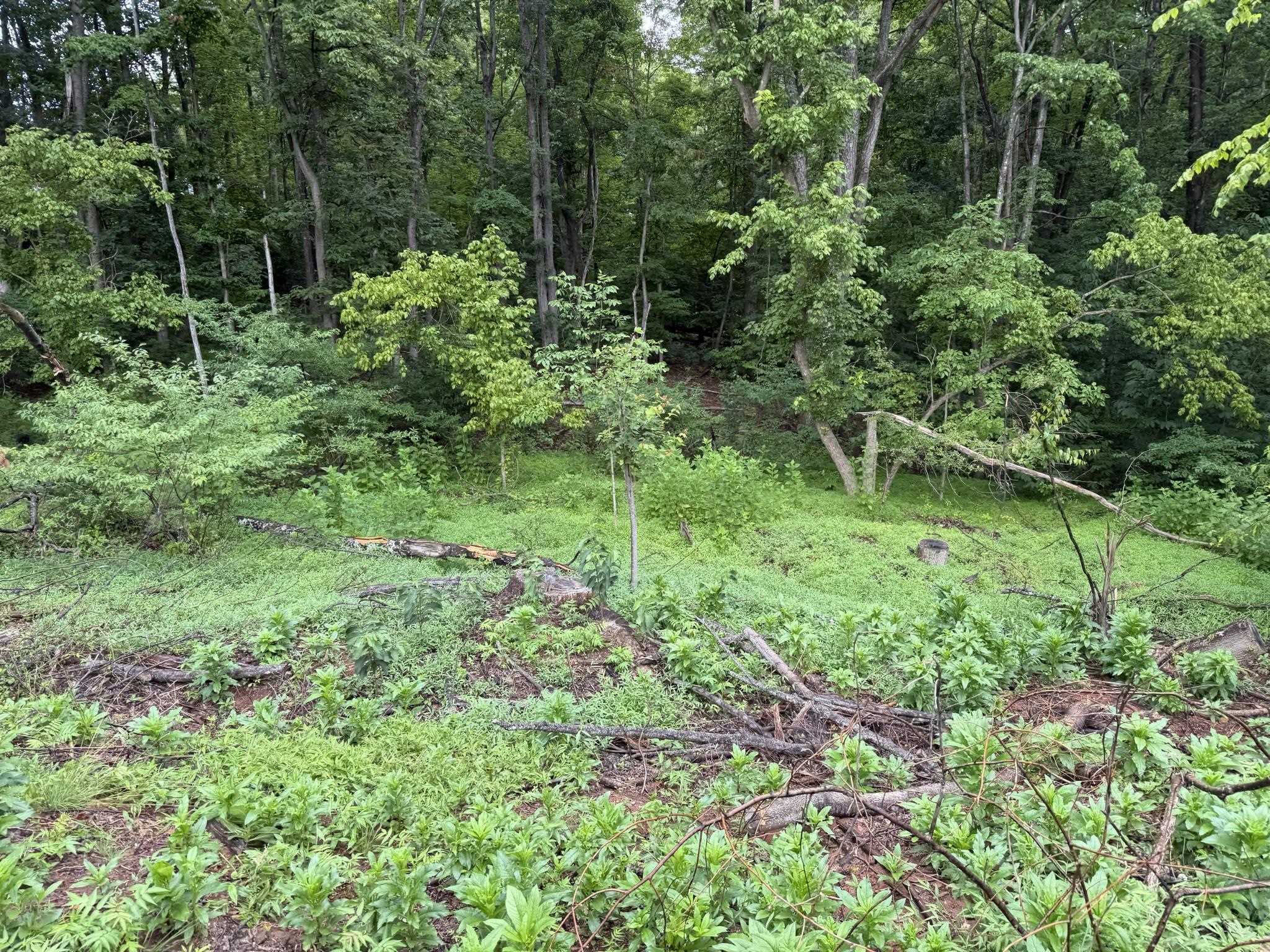 Tbd Virgil H Goode Highway Rocky Mount VA 24151