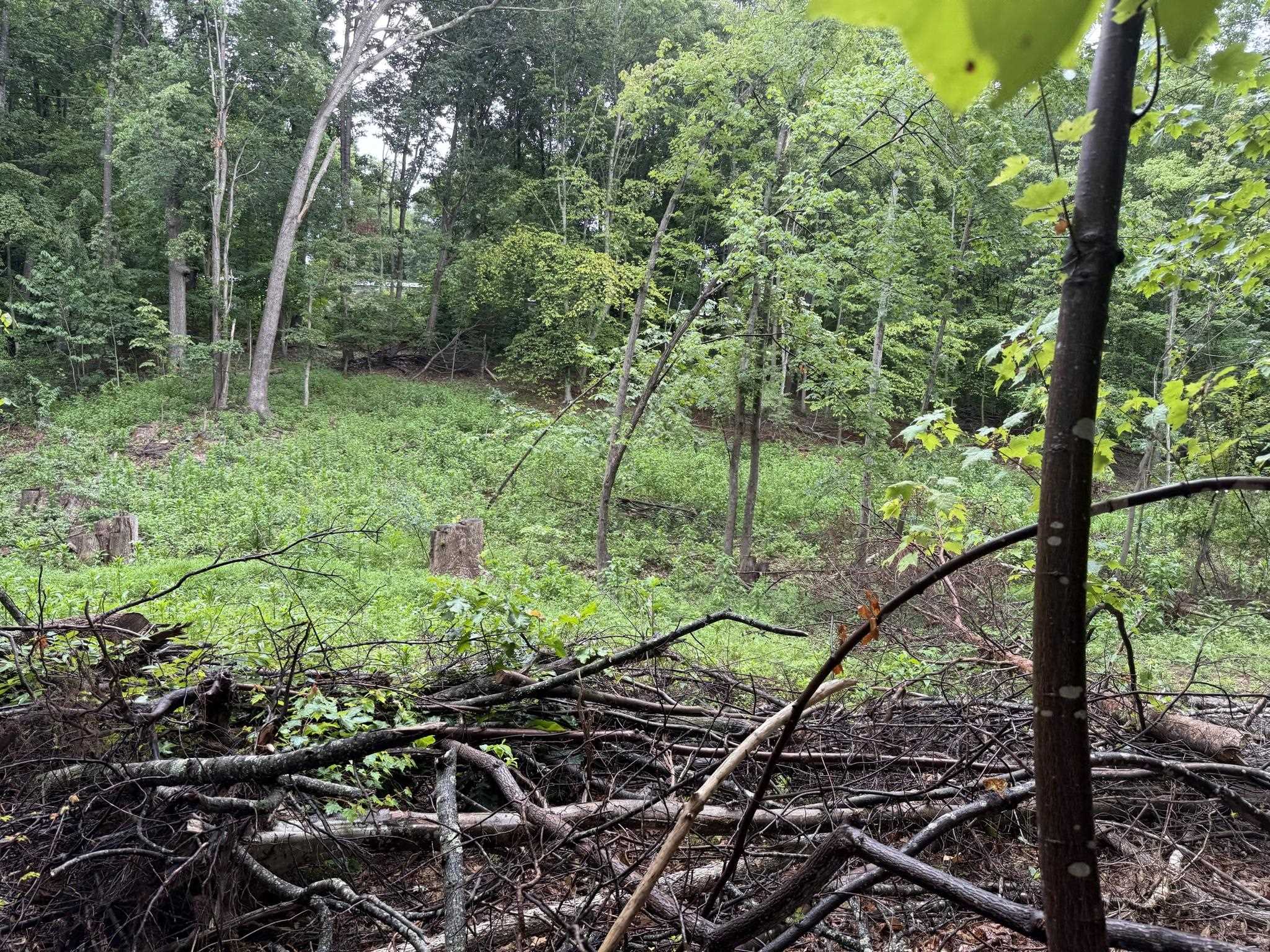 Tbd Virgil H Goode Highway Rocky Mount VA 24151