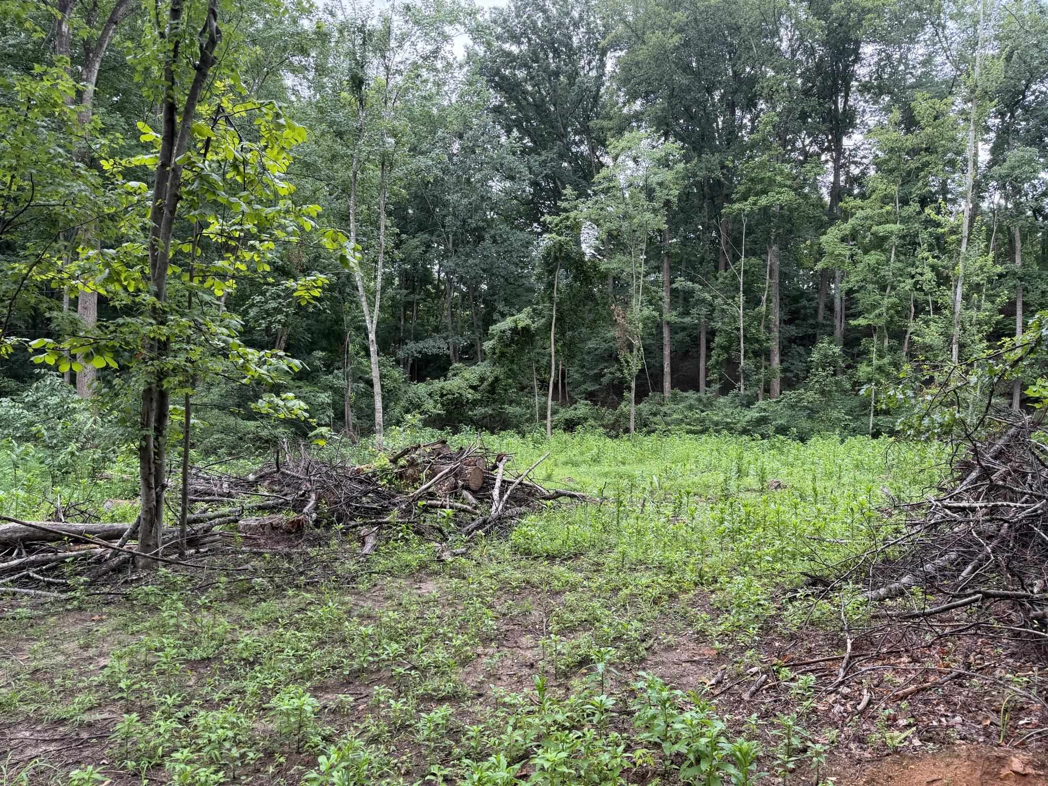 Tbd Virgil H Goode Highway Rocky Mount VA 24151