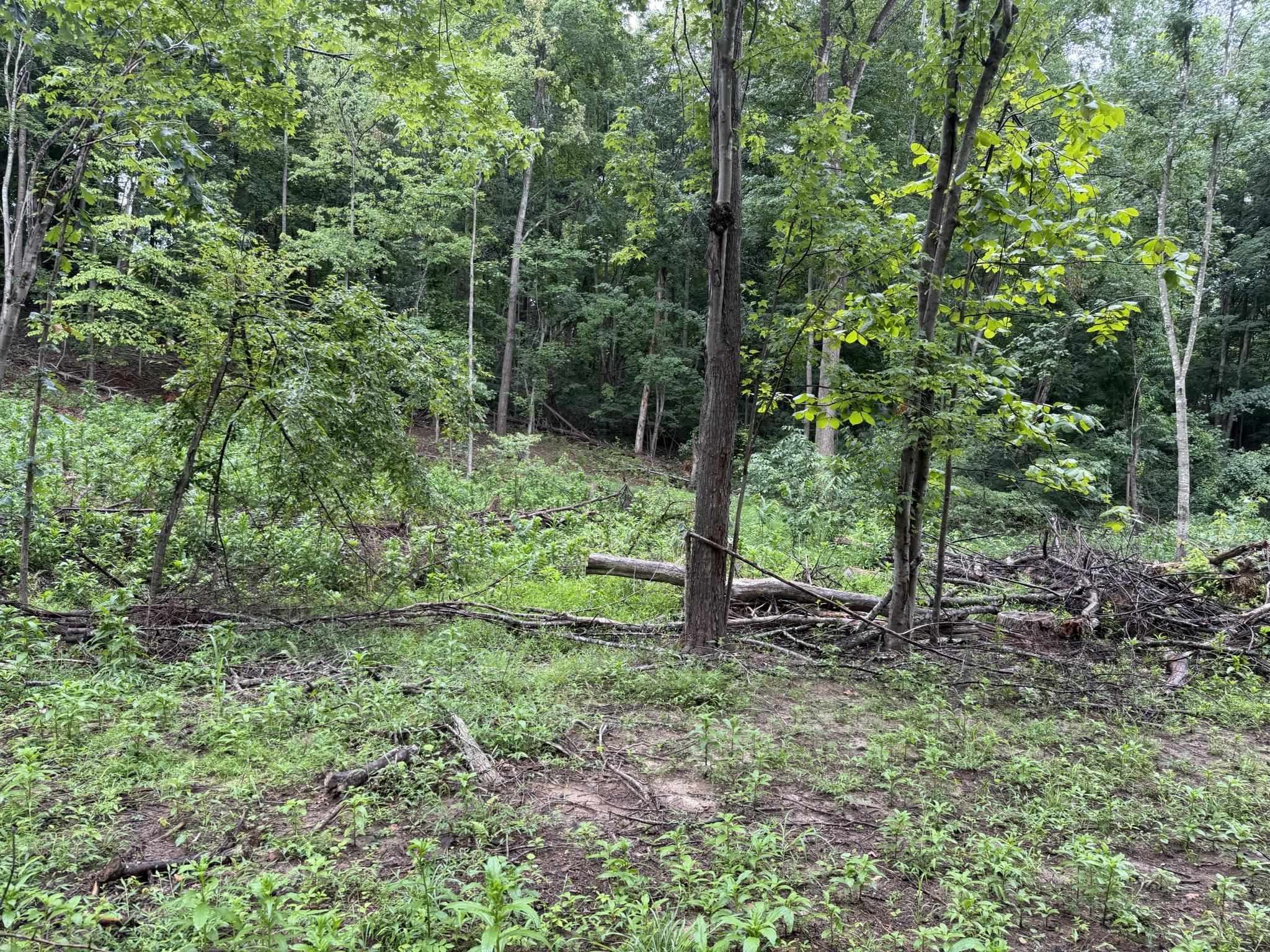 Tbd Virgil H Goode Highway Rocky Mount VA 24151