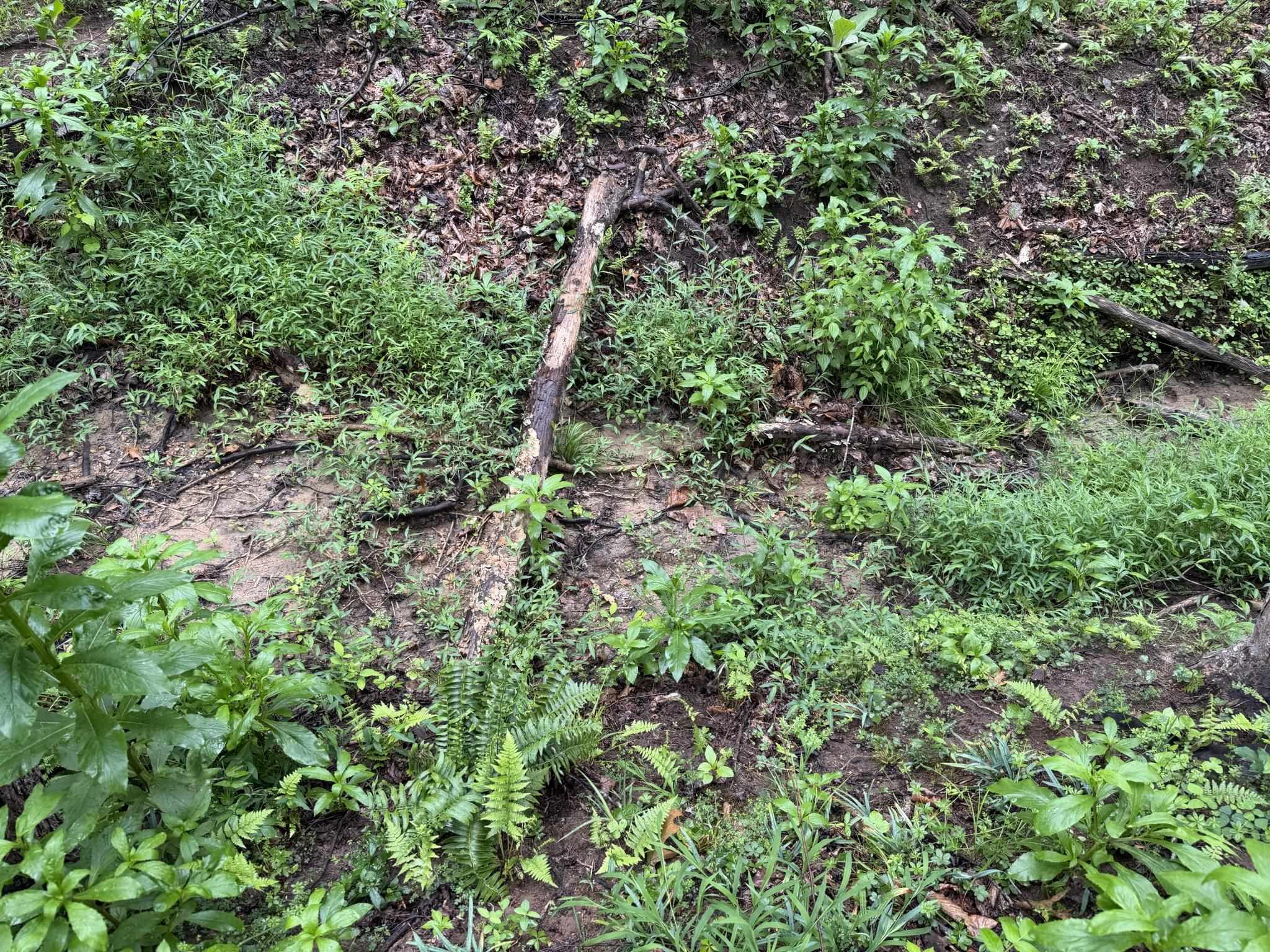 Tbd Virgil H Goode Highway Rocky Mount VA 24151