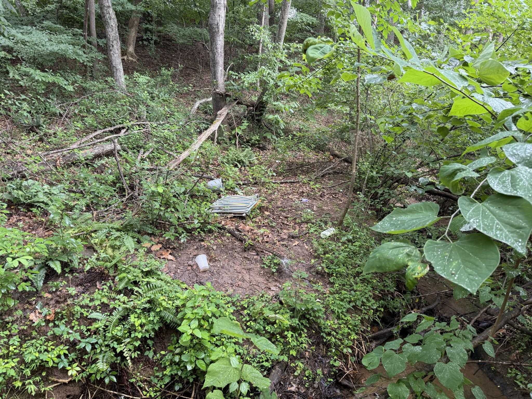 Tbd Virgil H Goode Highway Rocky Mount VA 24151