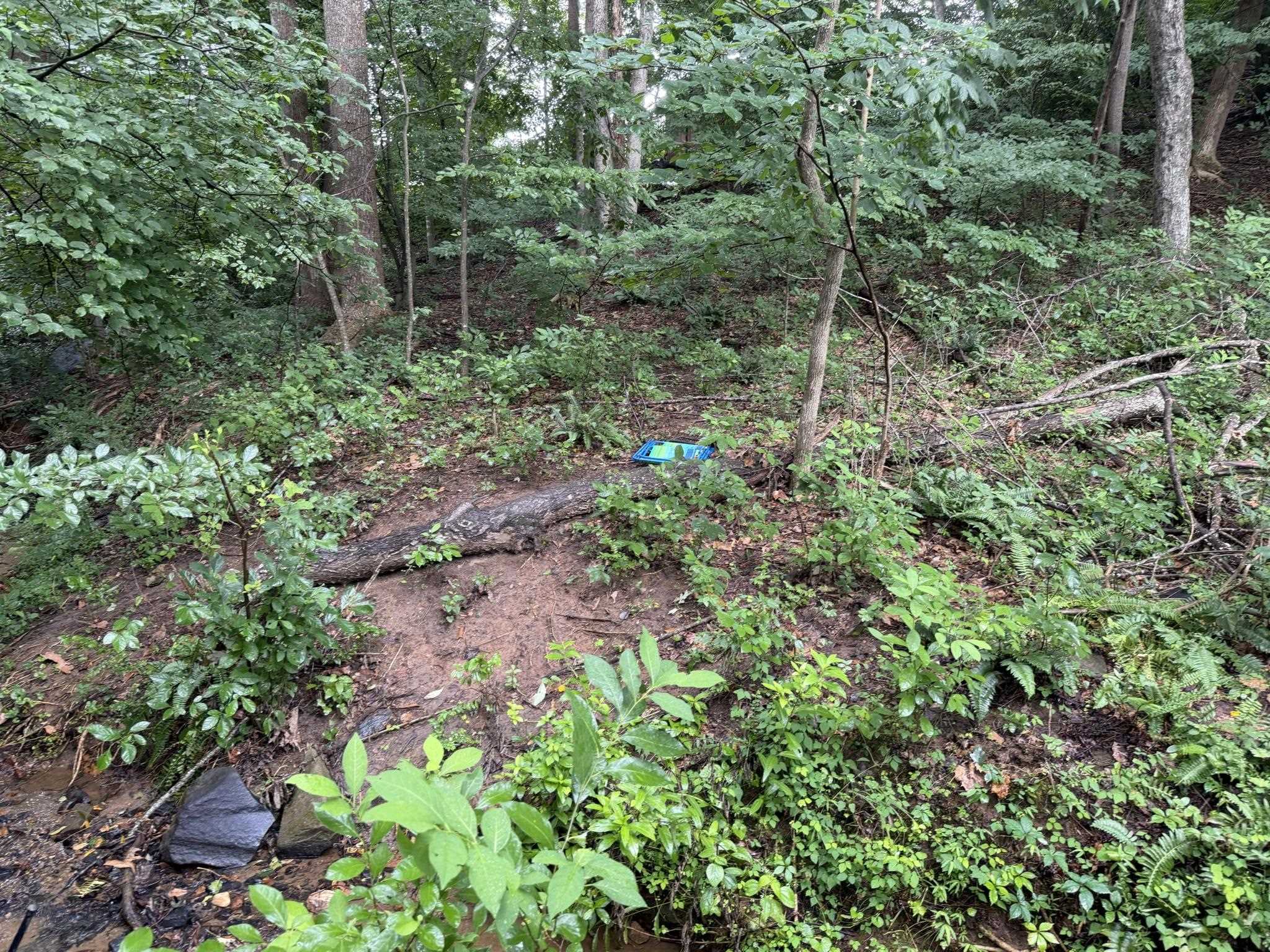 Tbd Virgil H Goode Highway Rocky Mount VA 24151
