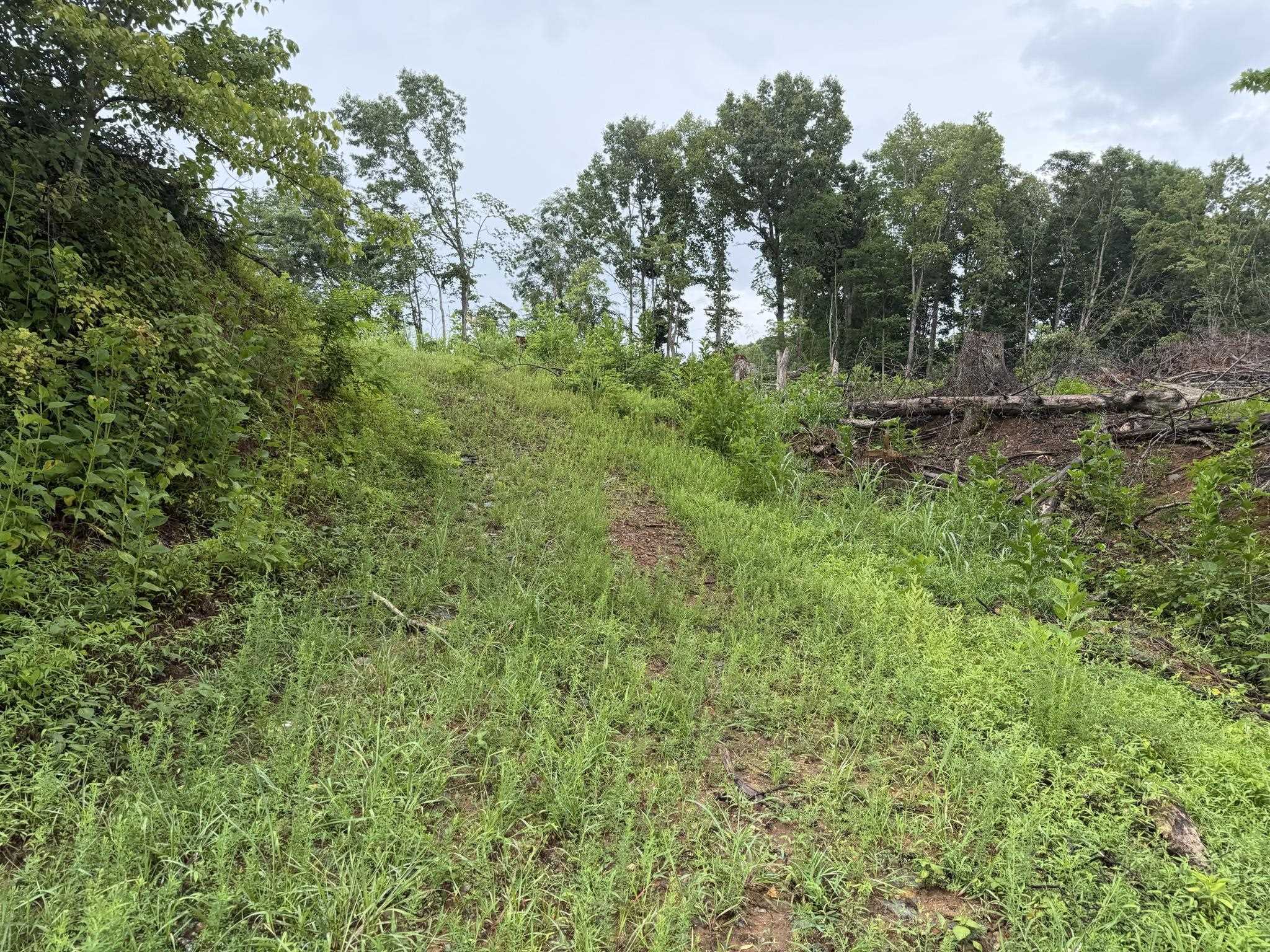 Tbd Virgil H Goode Highway Rocky Mount VA 24151