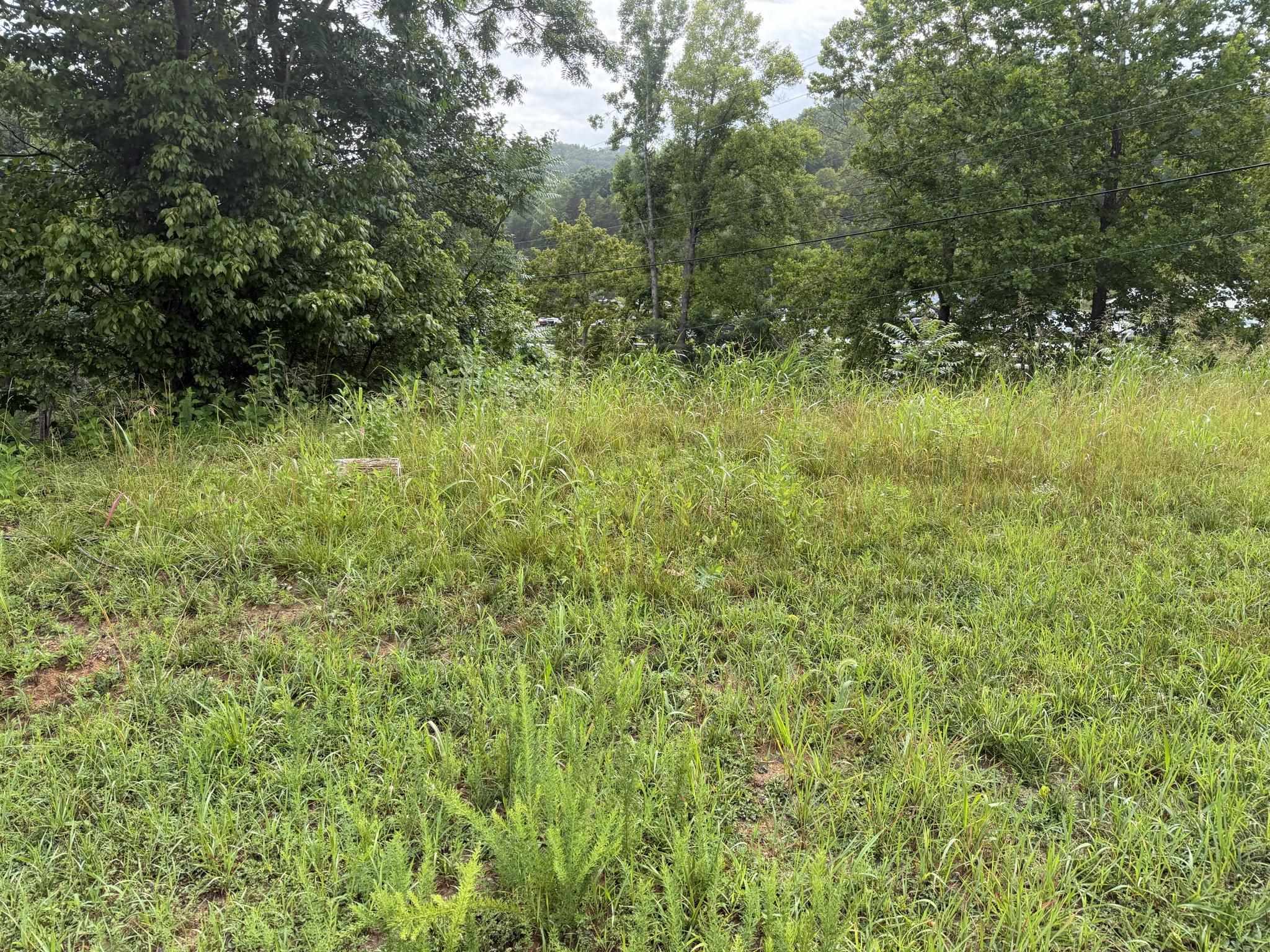 Tbd Virgil H Goode Highway Rocky Mount VA 24151