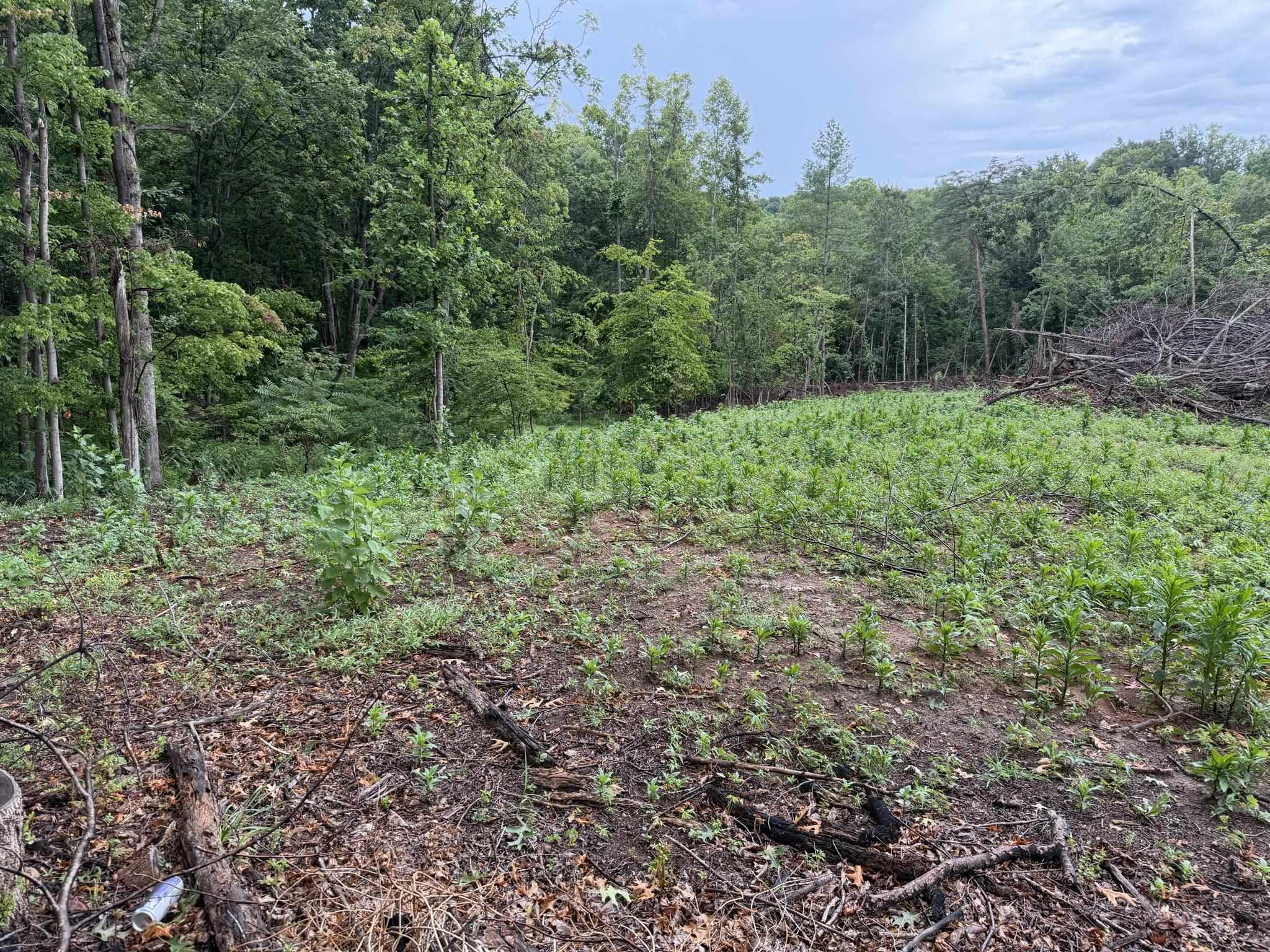 Tbd Virgil H Goode Highway Rocky Mount VA 24151