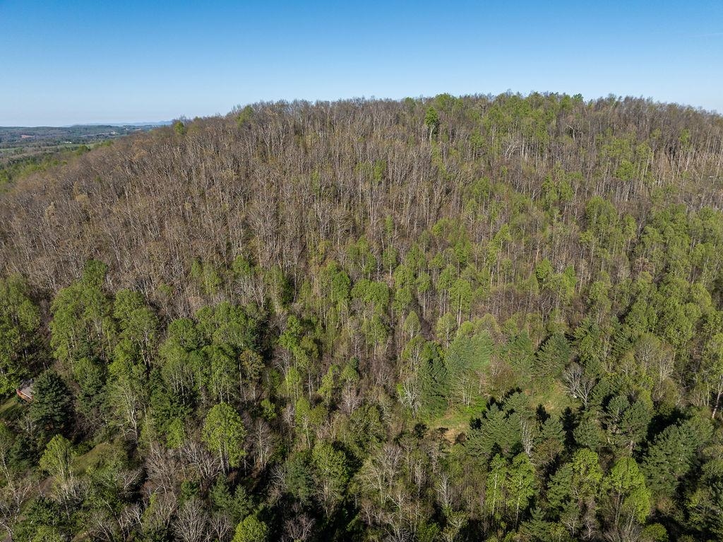 Tbd Danville Pike Road SW Meadows Of Dan VA 24120