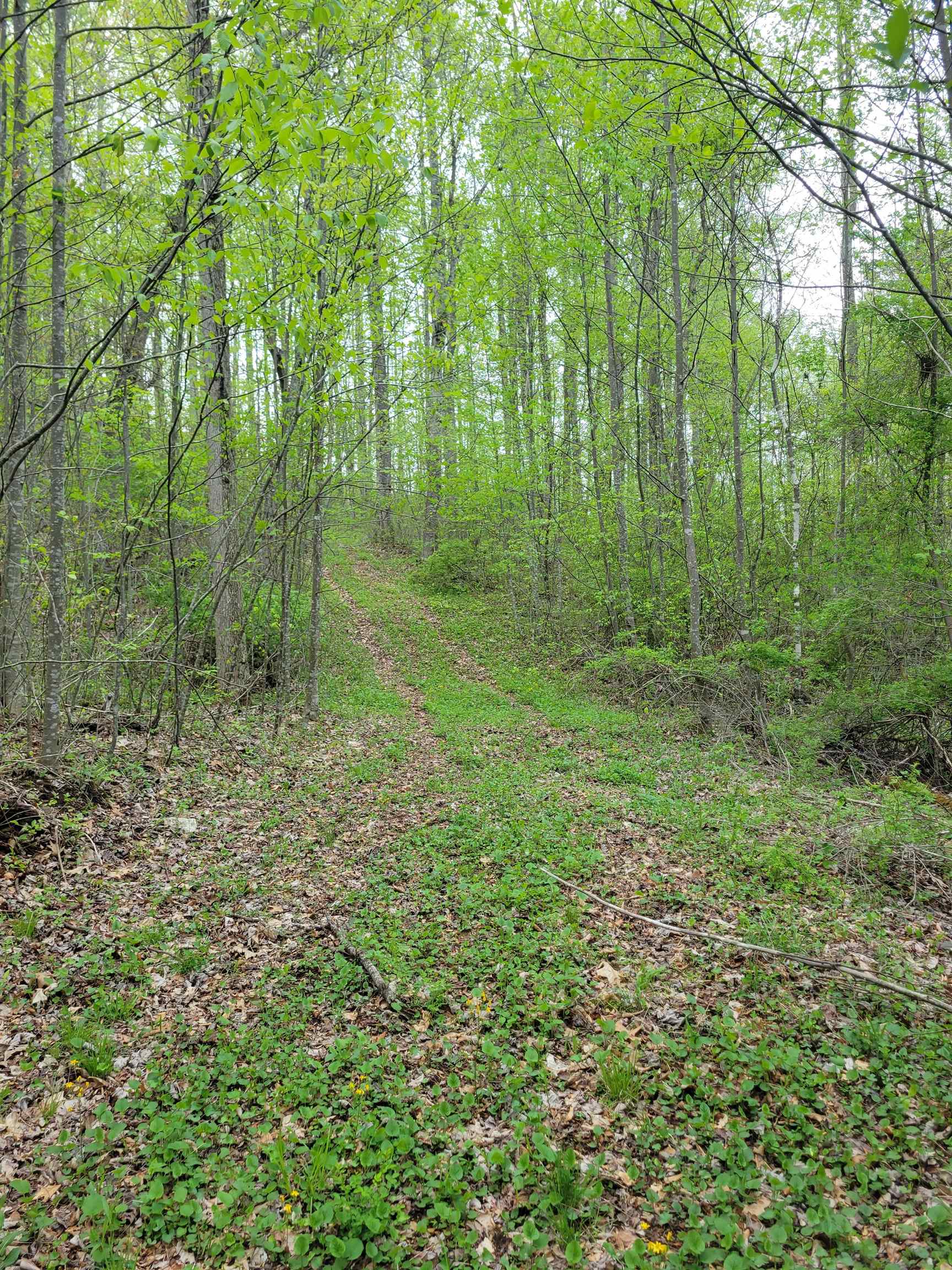 Tbd Danville Pike Road SW Meadows Of Dan VA 24120