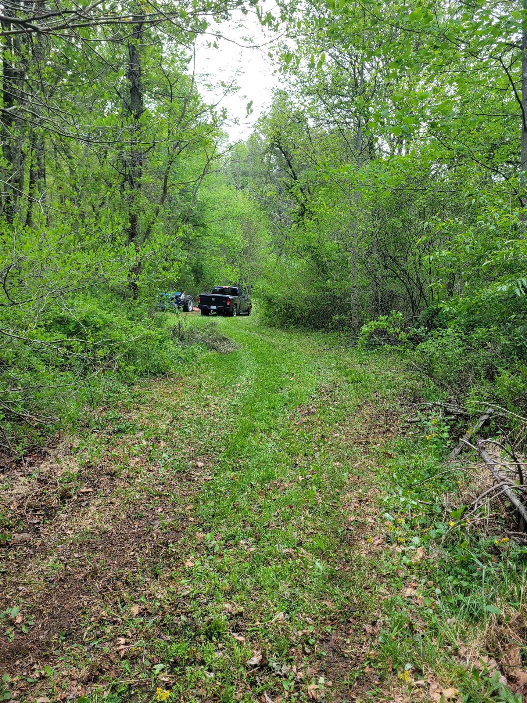 Tbd Danville Pike Road SW Meadows Of Dan VA 24120