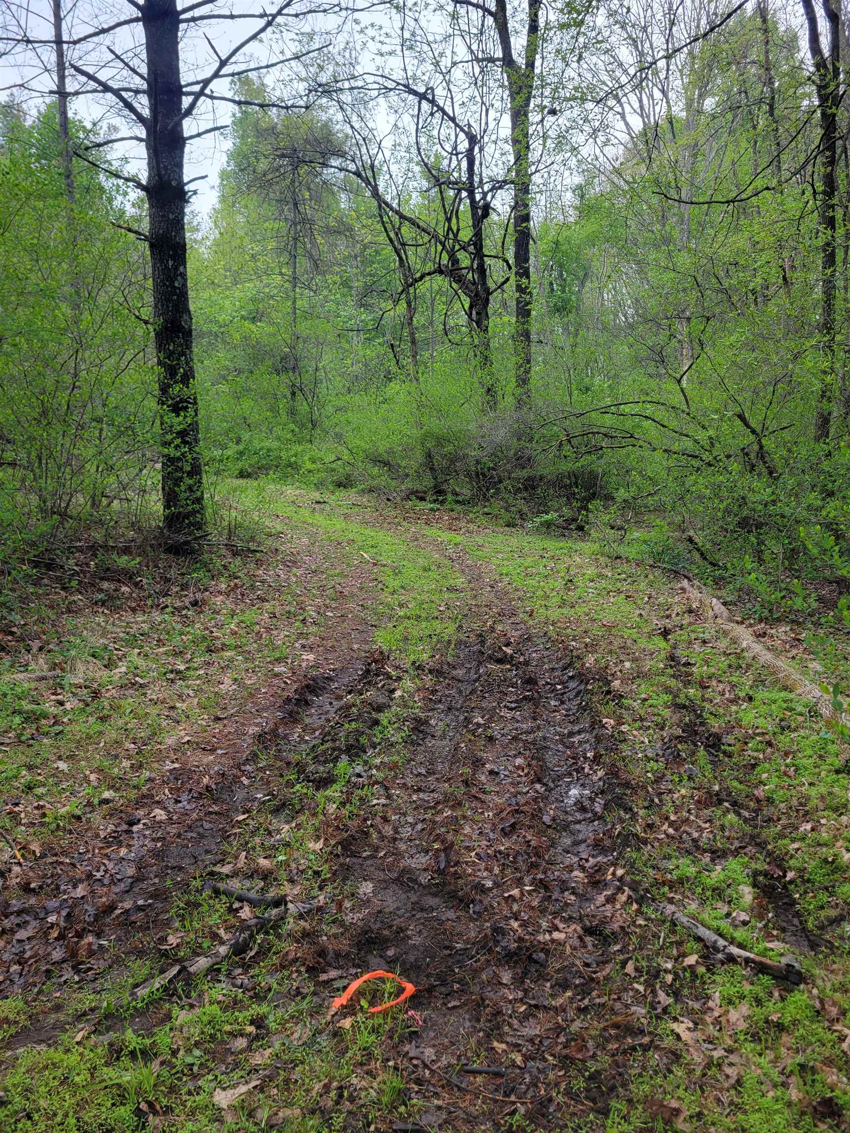 Tbd Danville Pike Road SW Meadows Of Dan VA 24120