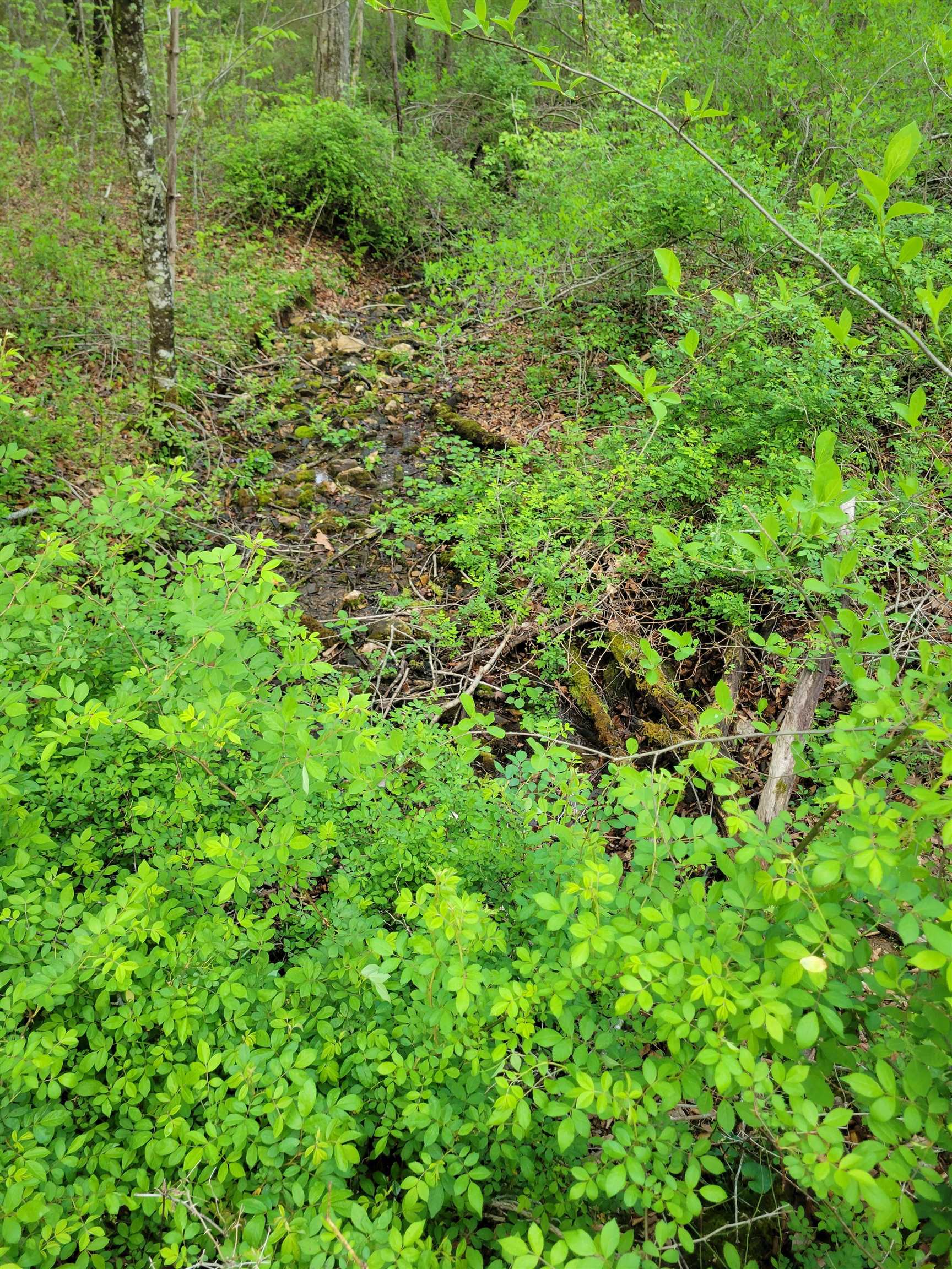 Tbd Danville Pike Road SW Meadows Of Dan VA 24120