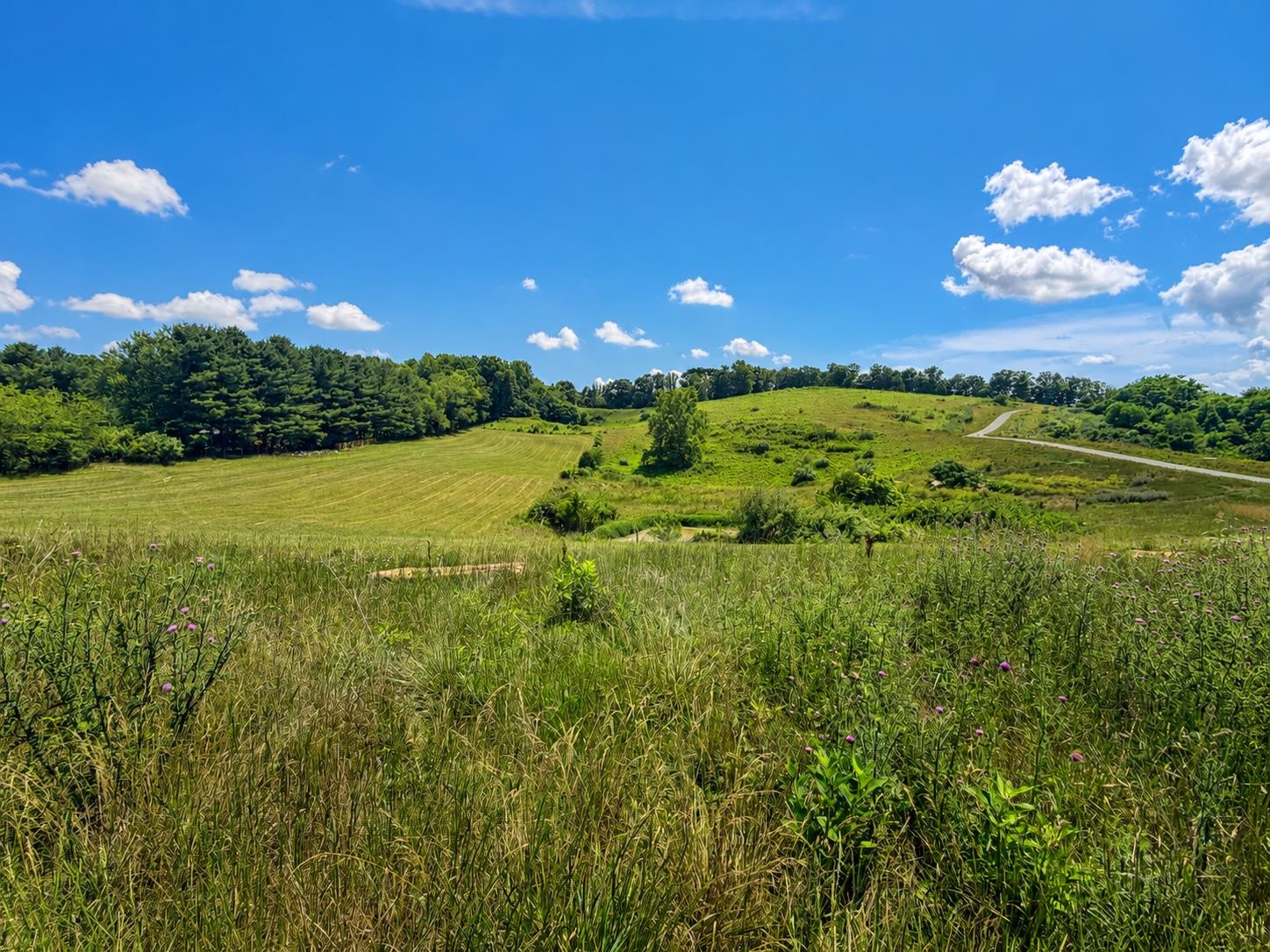 Lot 6 Green Tree Road Pembroke VA 24136