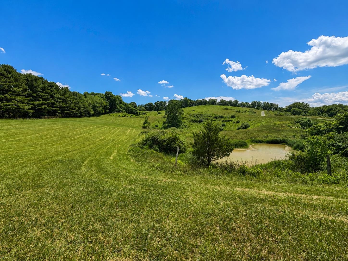 Lot 6 Green Tree Road Pembroke VA 24136