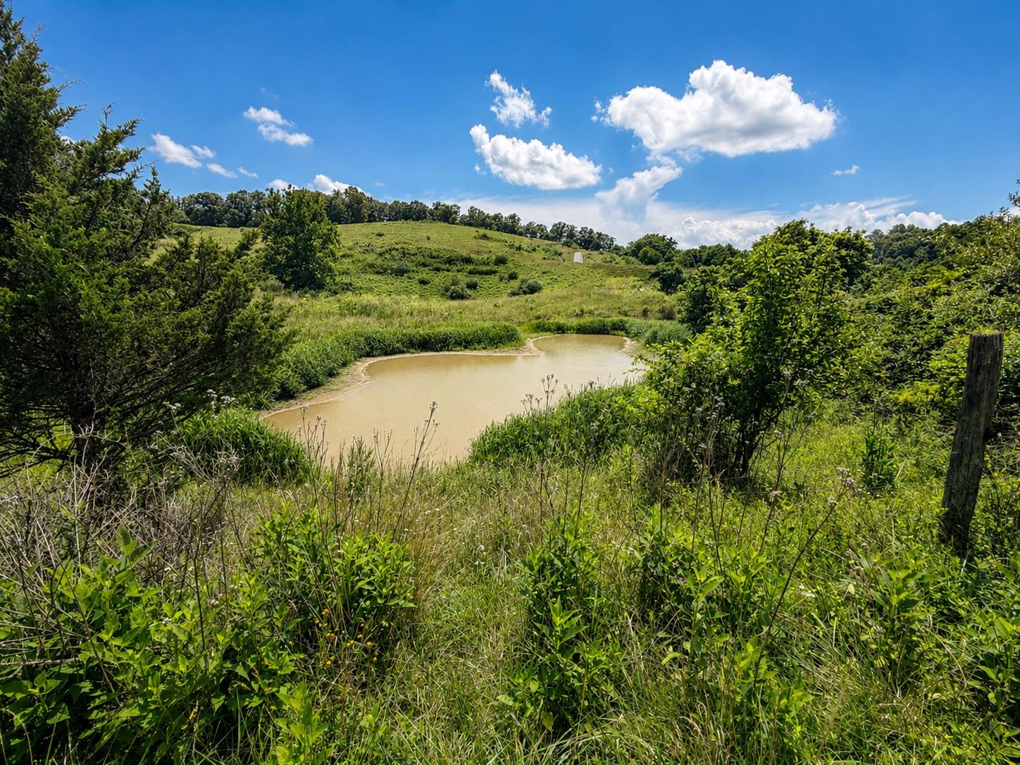 Lot 6 Green Tree Road Pembroke VA 24136