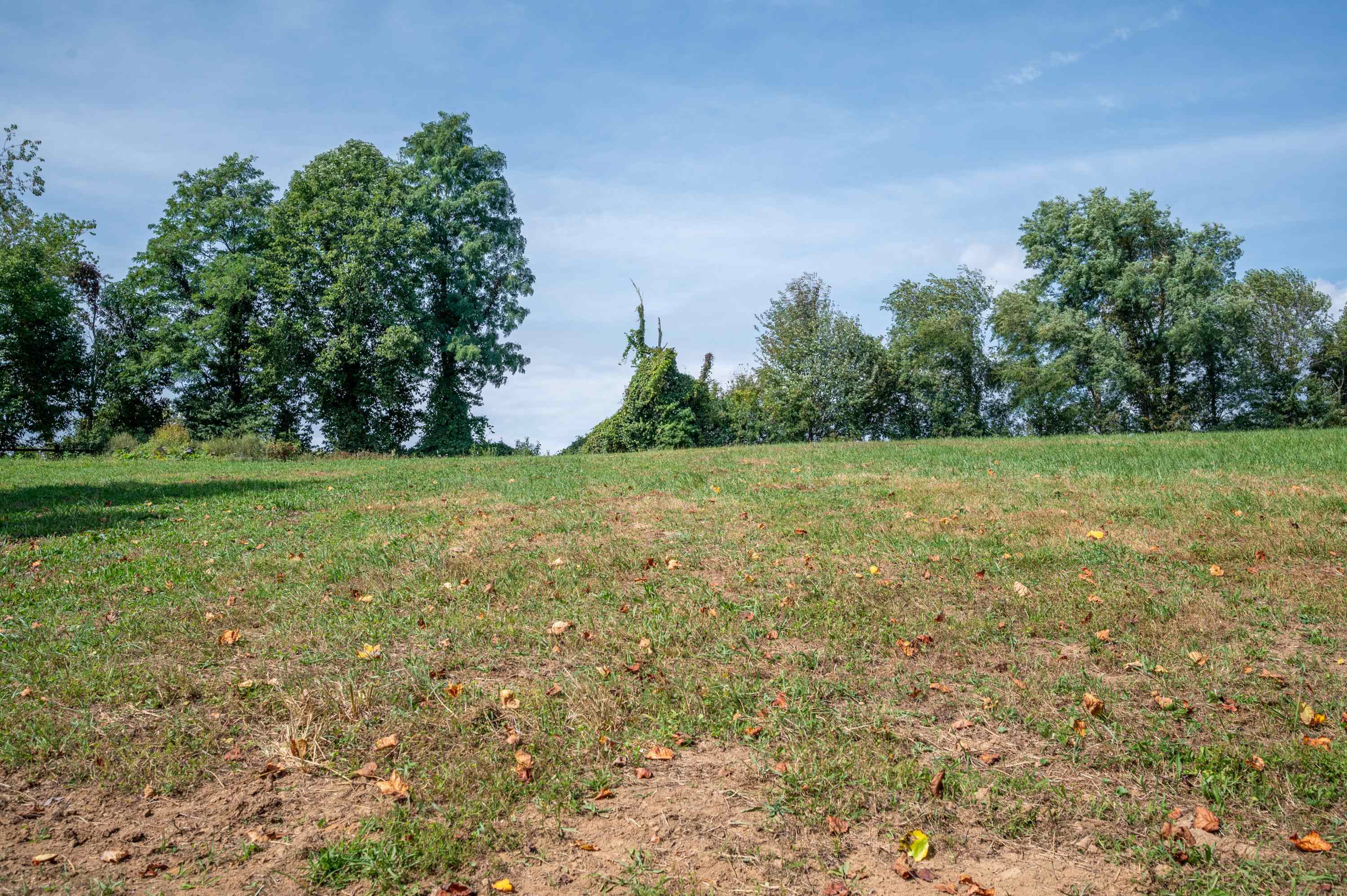 365 Pinnacle Lane Meadows Of Dan VA 24120