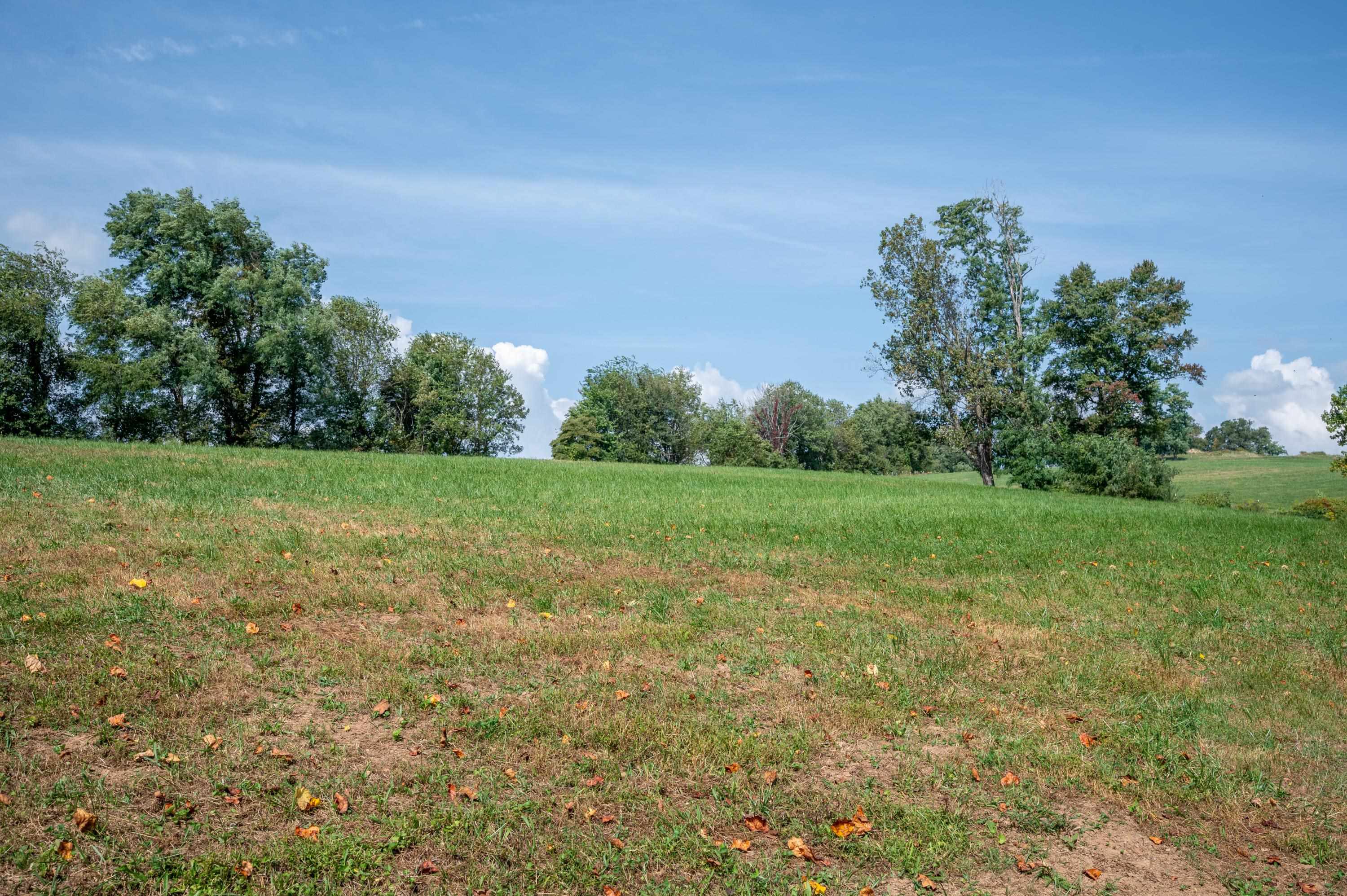 365 Pinnacle Lane Meadows Of Dan VA 24120