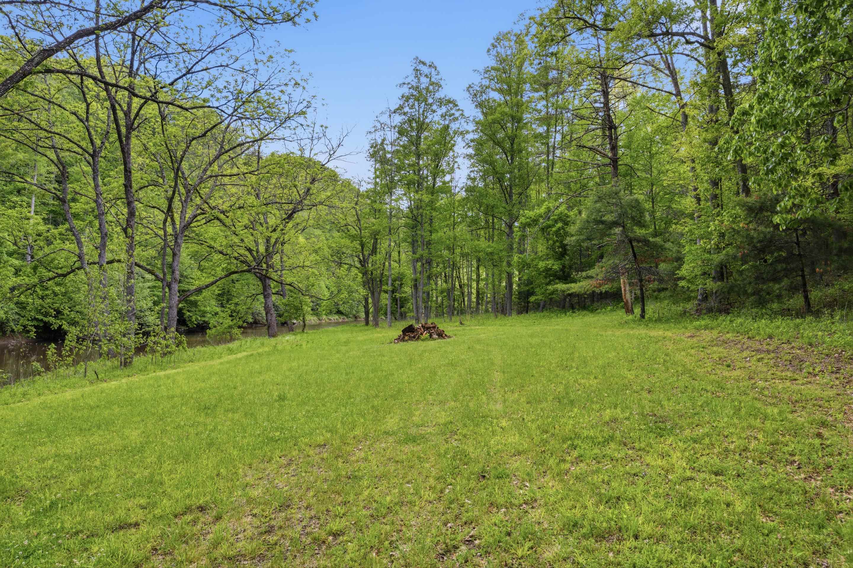 Tbd Chestnut Ridge Road Riner VA 24149