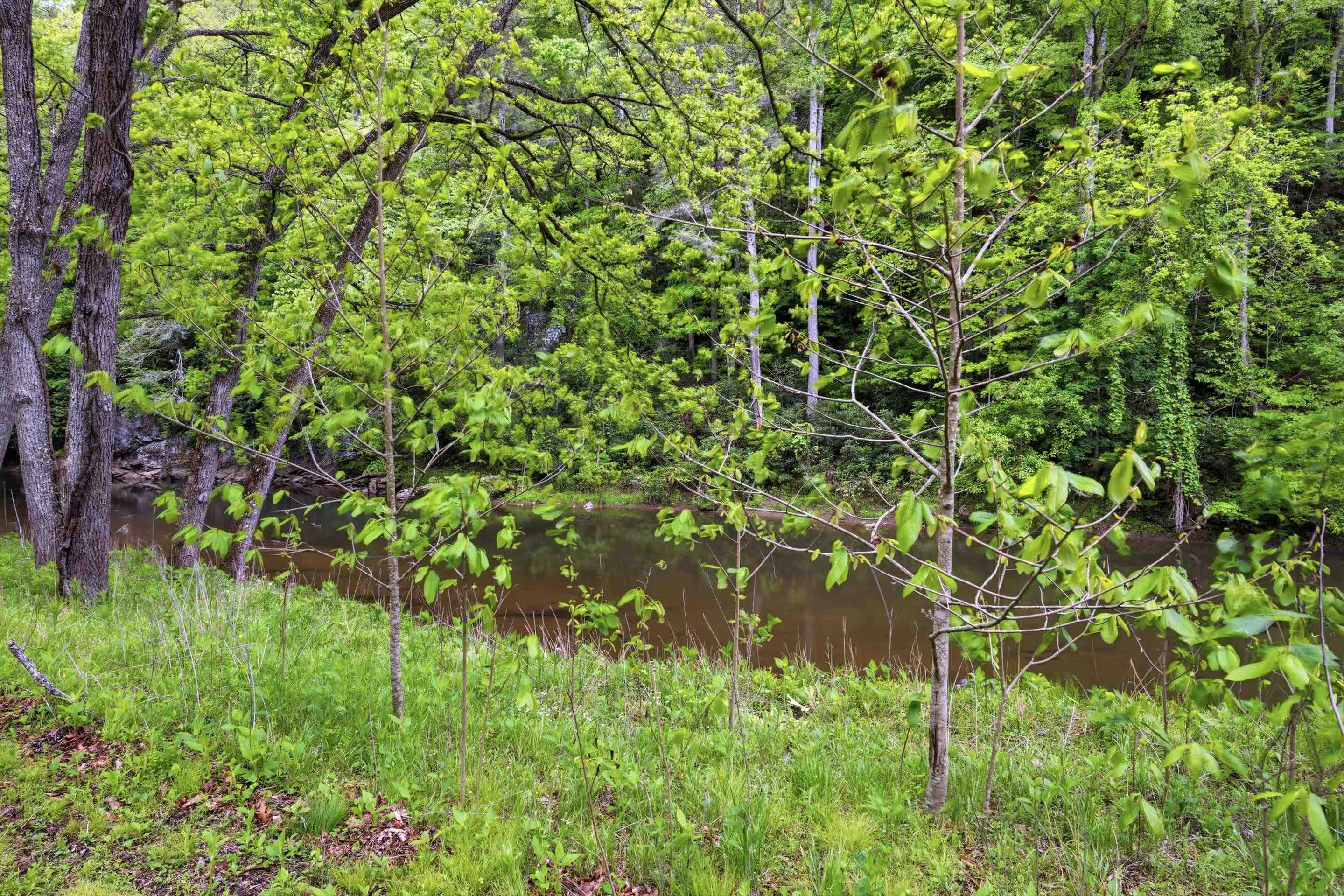 Tbd Chestnut Ridge Road Riner VA 24149