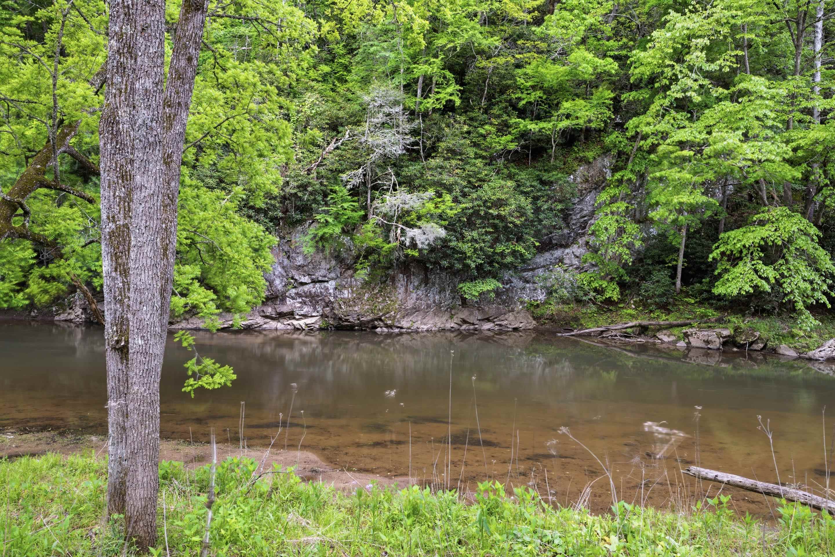 Tbd Chestnut Ridge Road Riner VA 24149