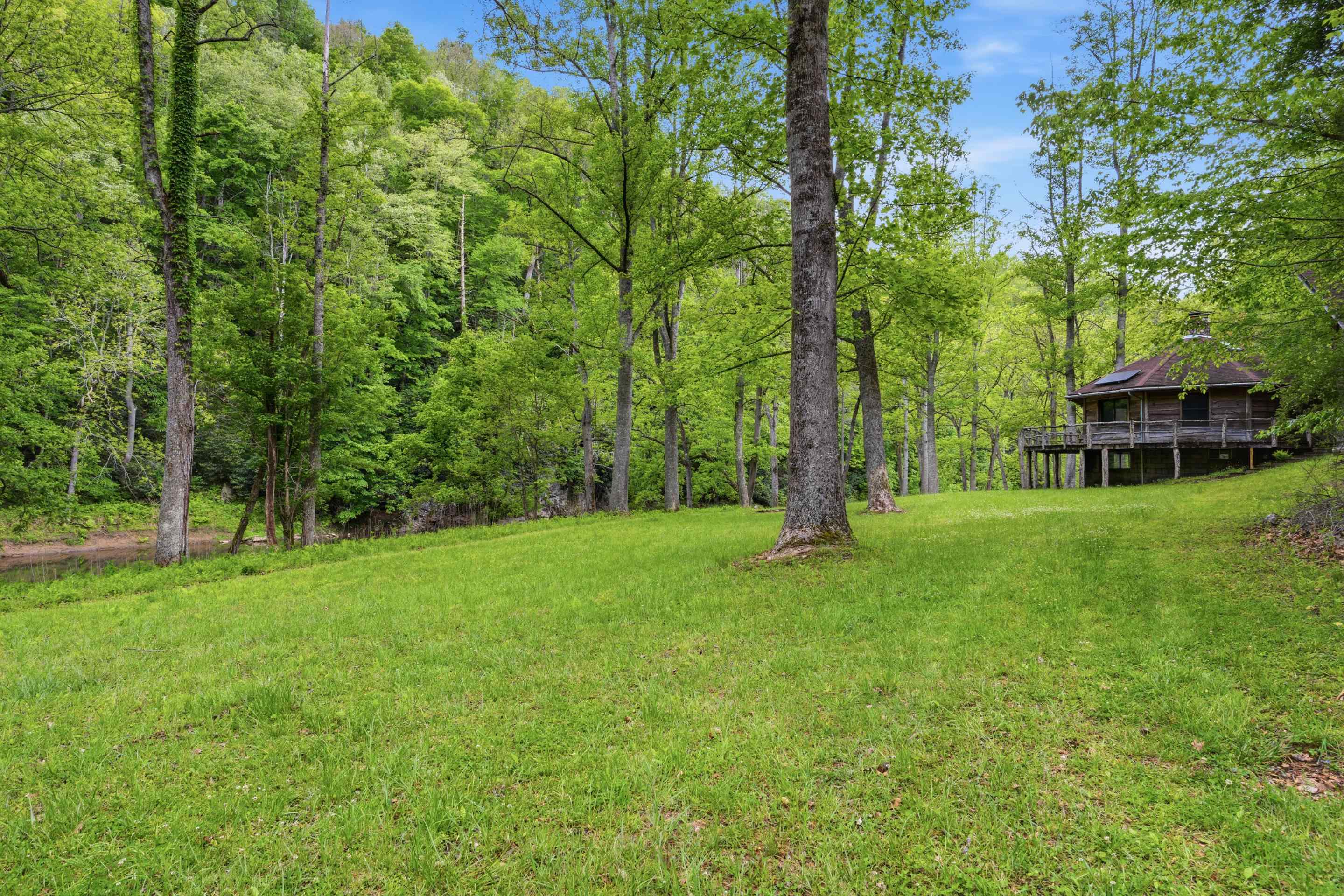 Tbd Chestnut Ridge Road Riner VA 24149