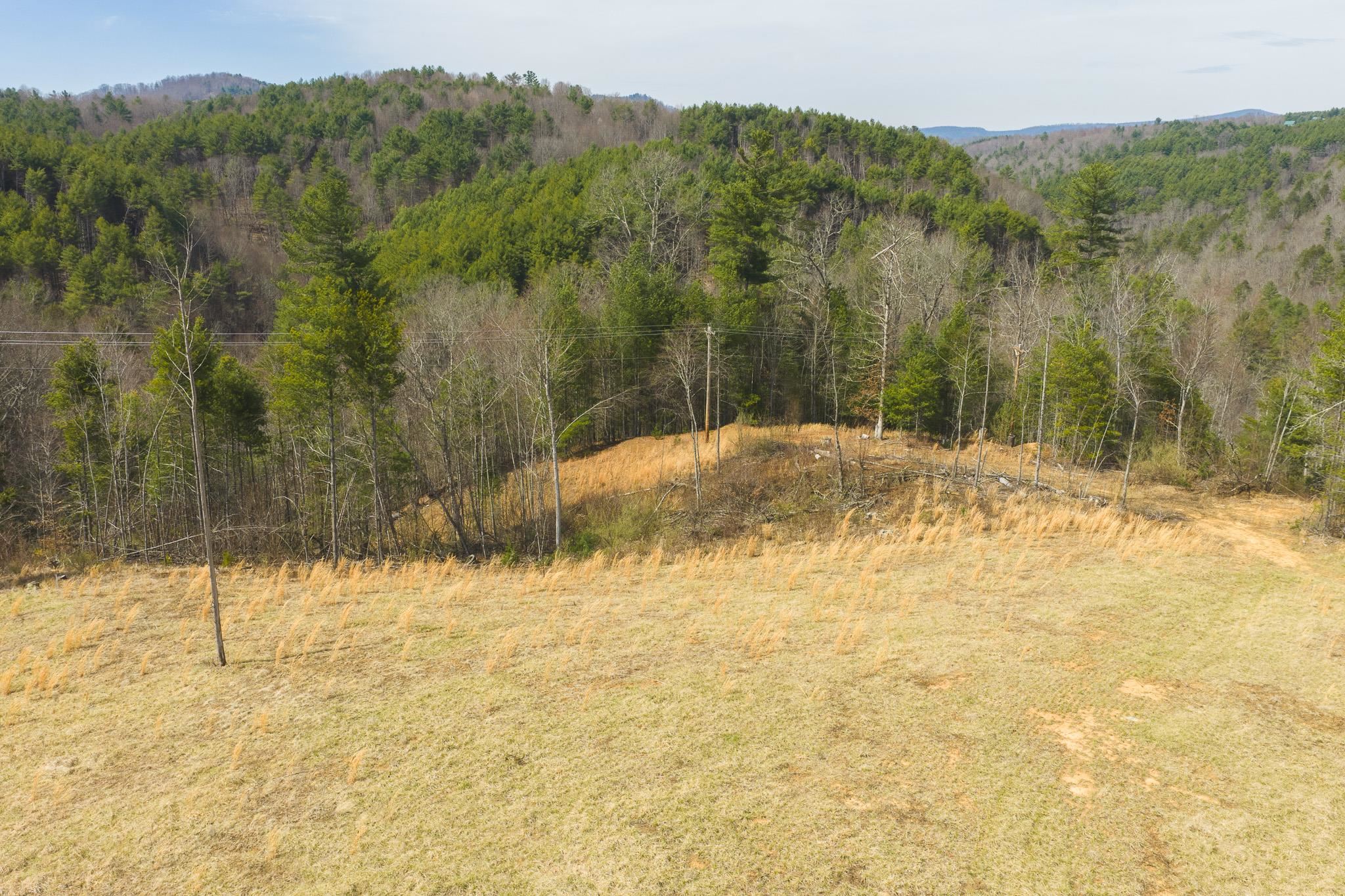 Tbd Carsonville Road Independence VA 24348