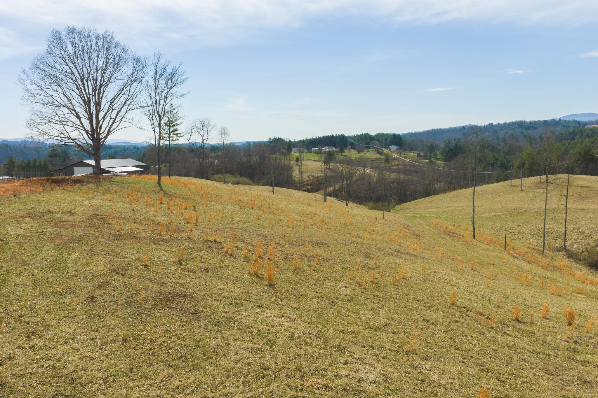 Tbd Carsonville Road Independence VA 24348