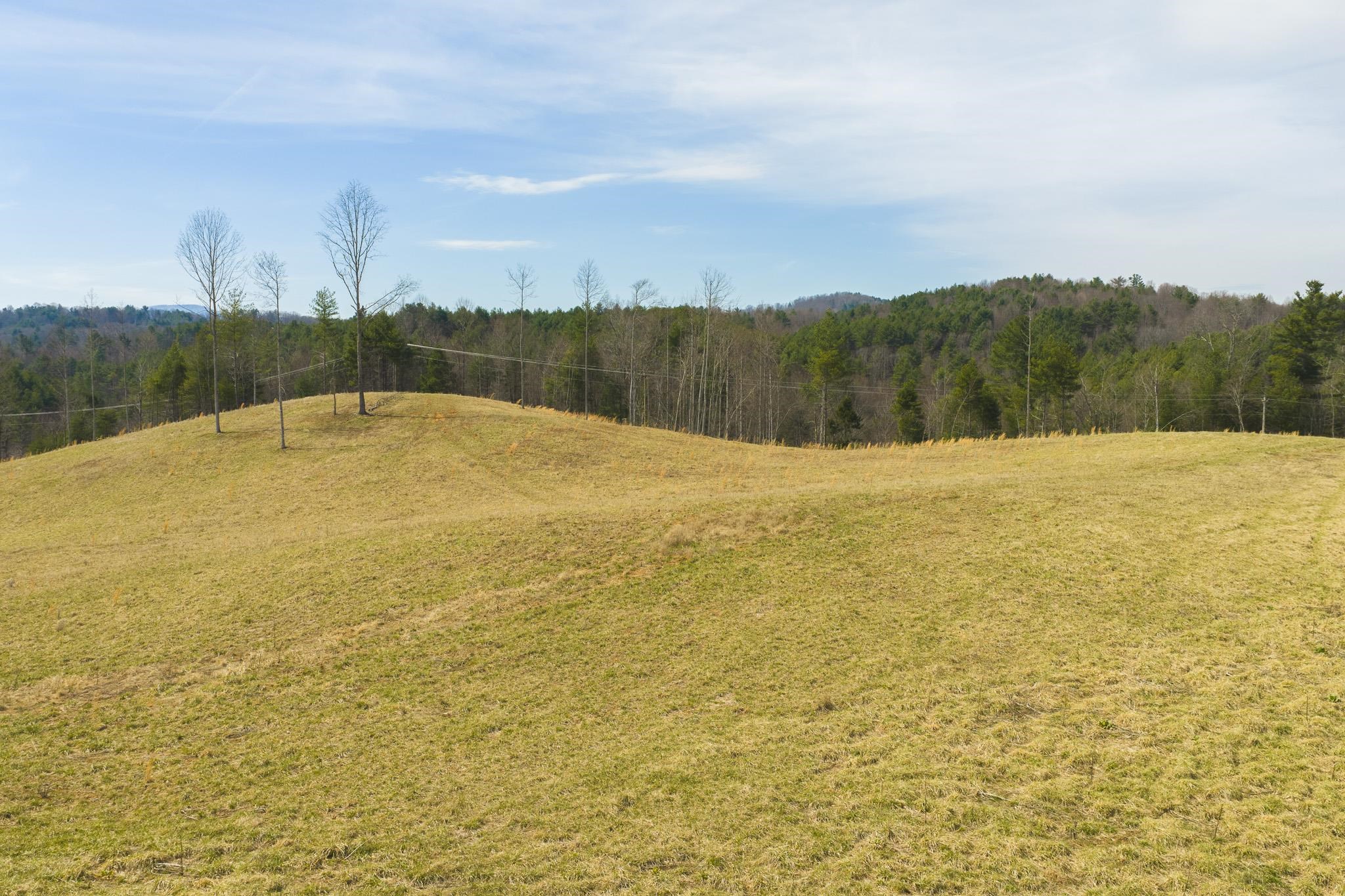 Tbd Carsonville Road Independence VA 24348