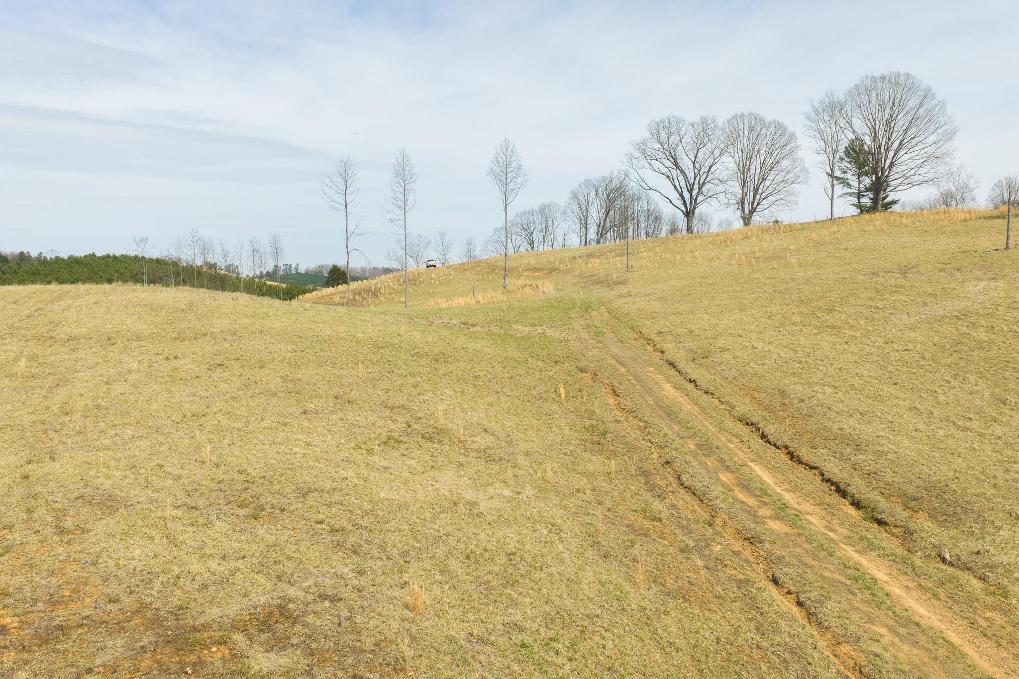 Tbd Carsonville Road Independence VA 24348