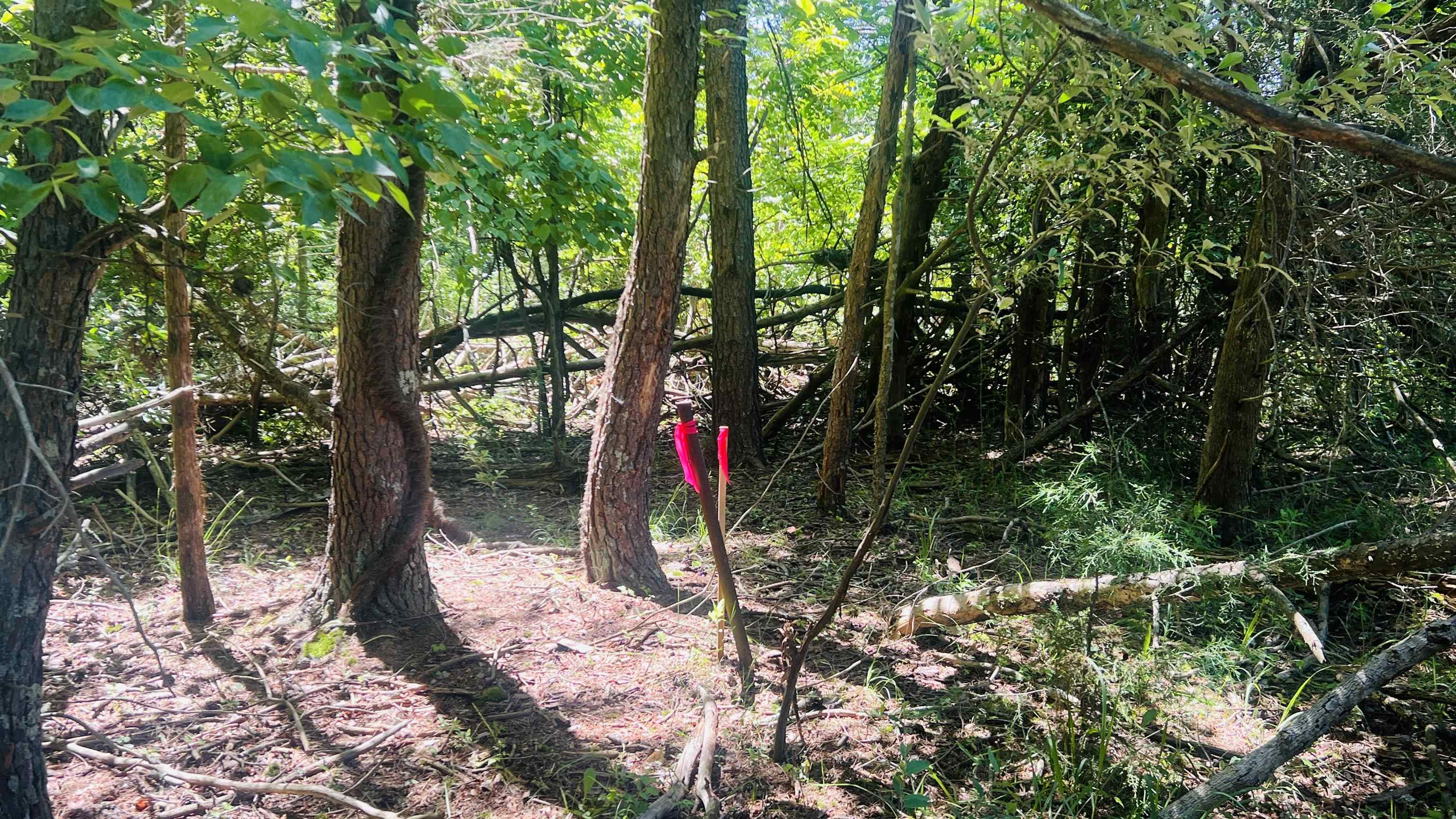 Lot 233 Appalachian Road Radford VA 24141