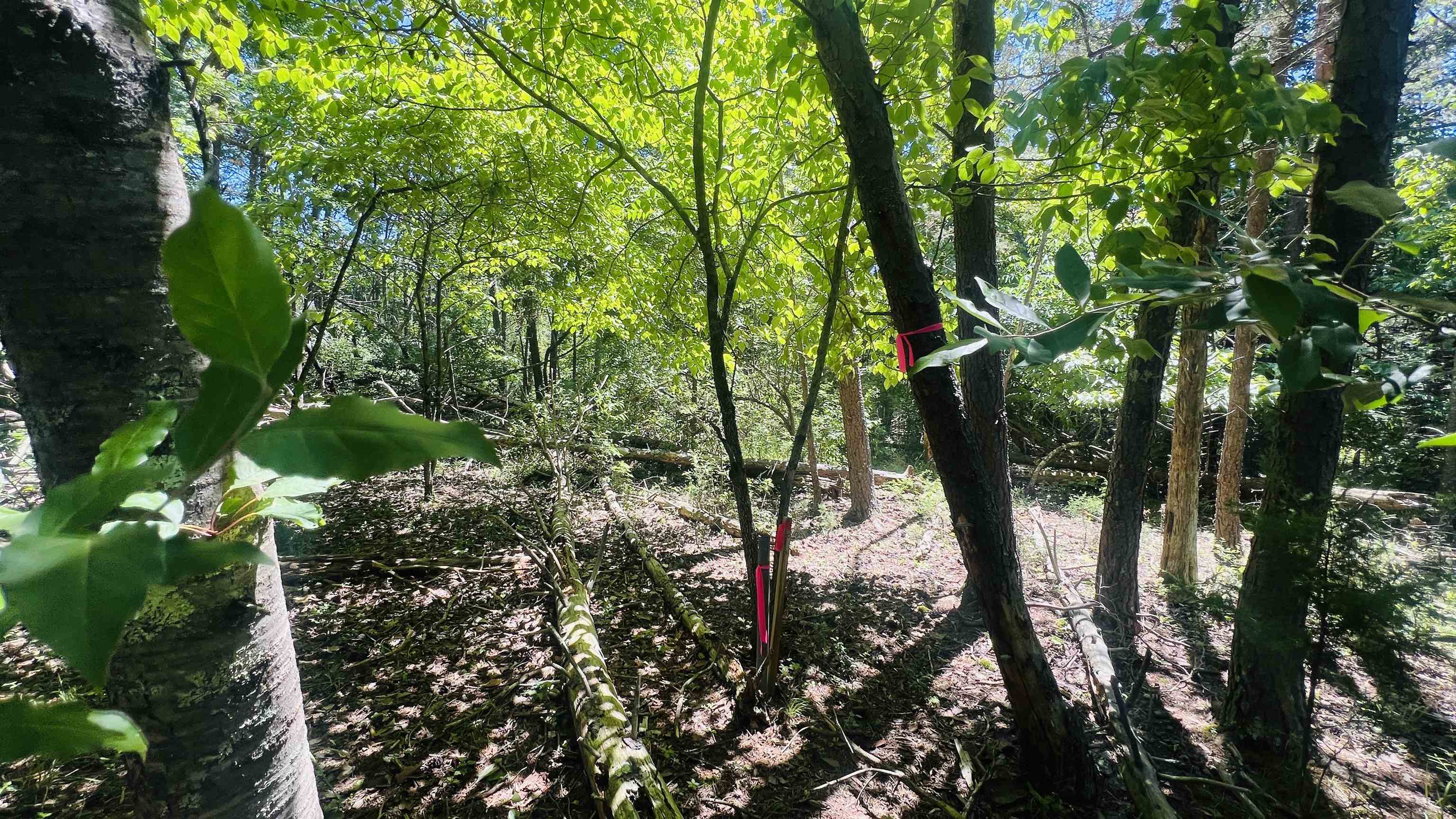 Lot 233 Appalachian Road Radford VA 24141