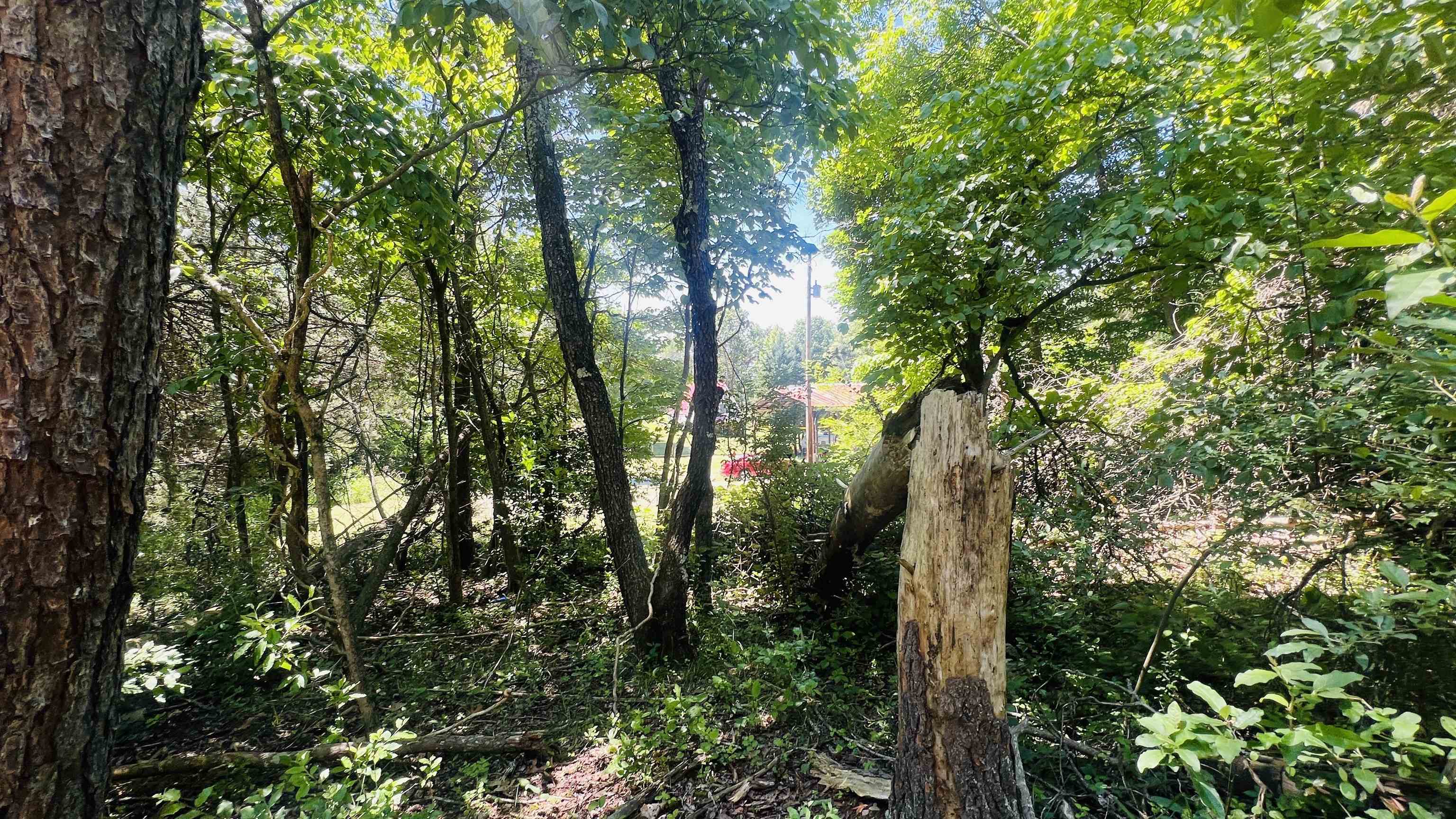 Lot 233 Appalachian Road Radford VA 24141
