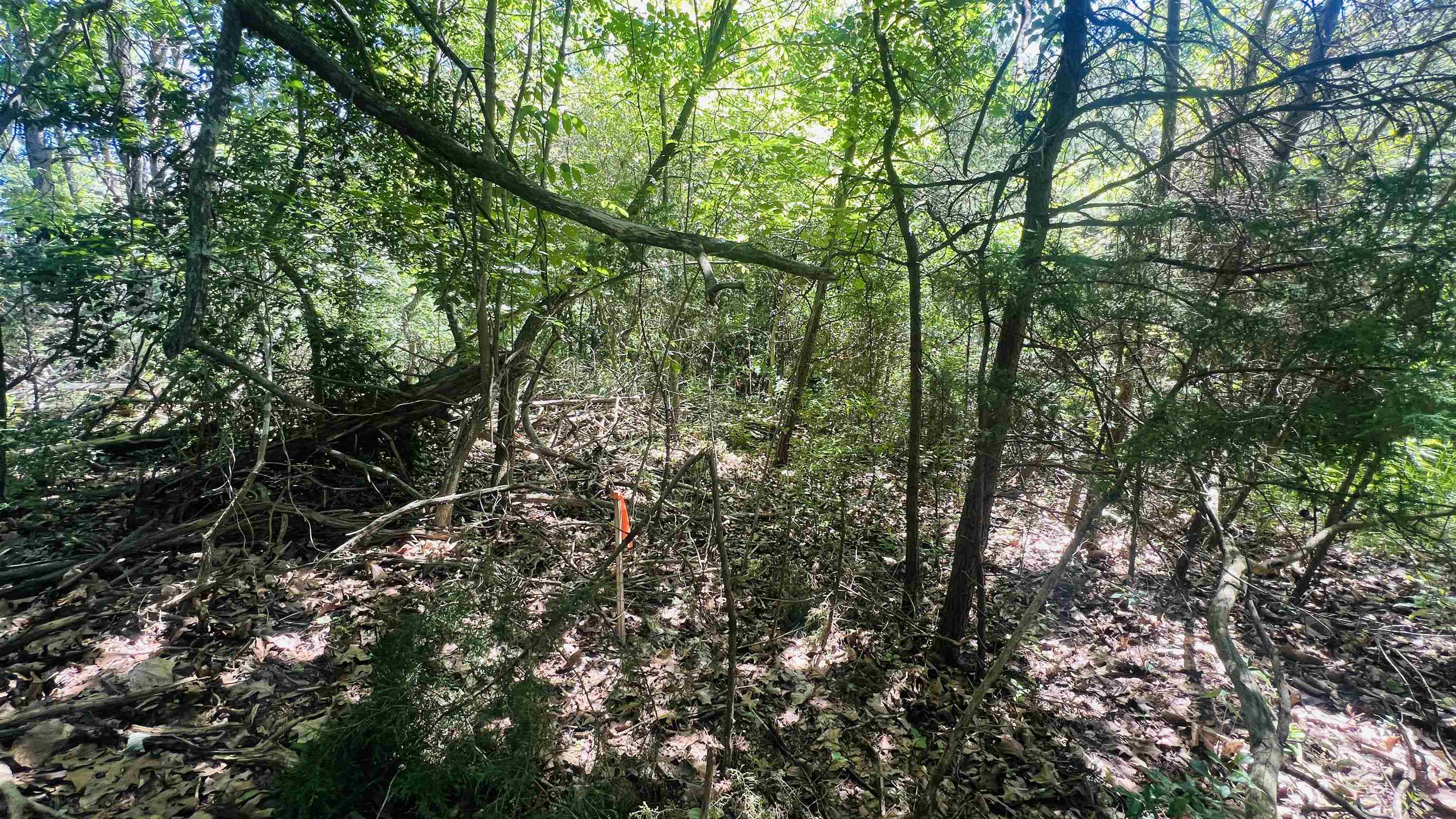 Lot 233 Appalachian Road Radford VA 24141