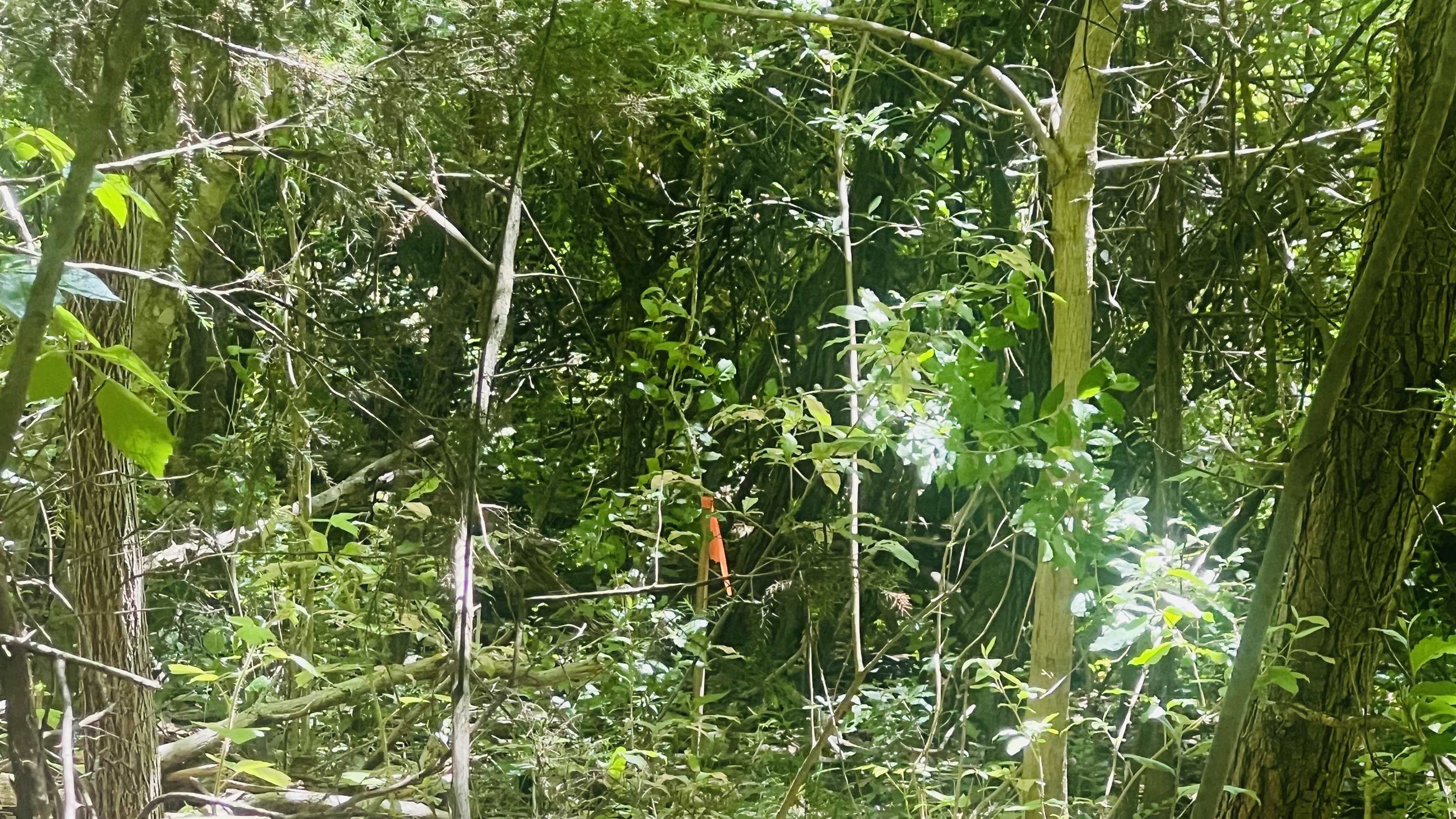 Lot 233 Appalachian Road Radford VA 24141