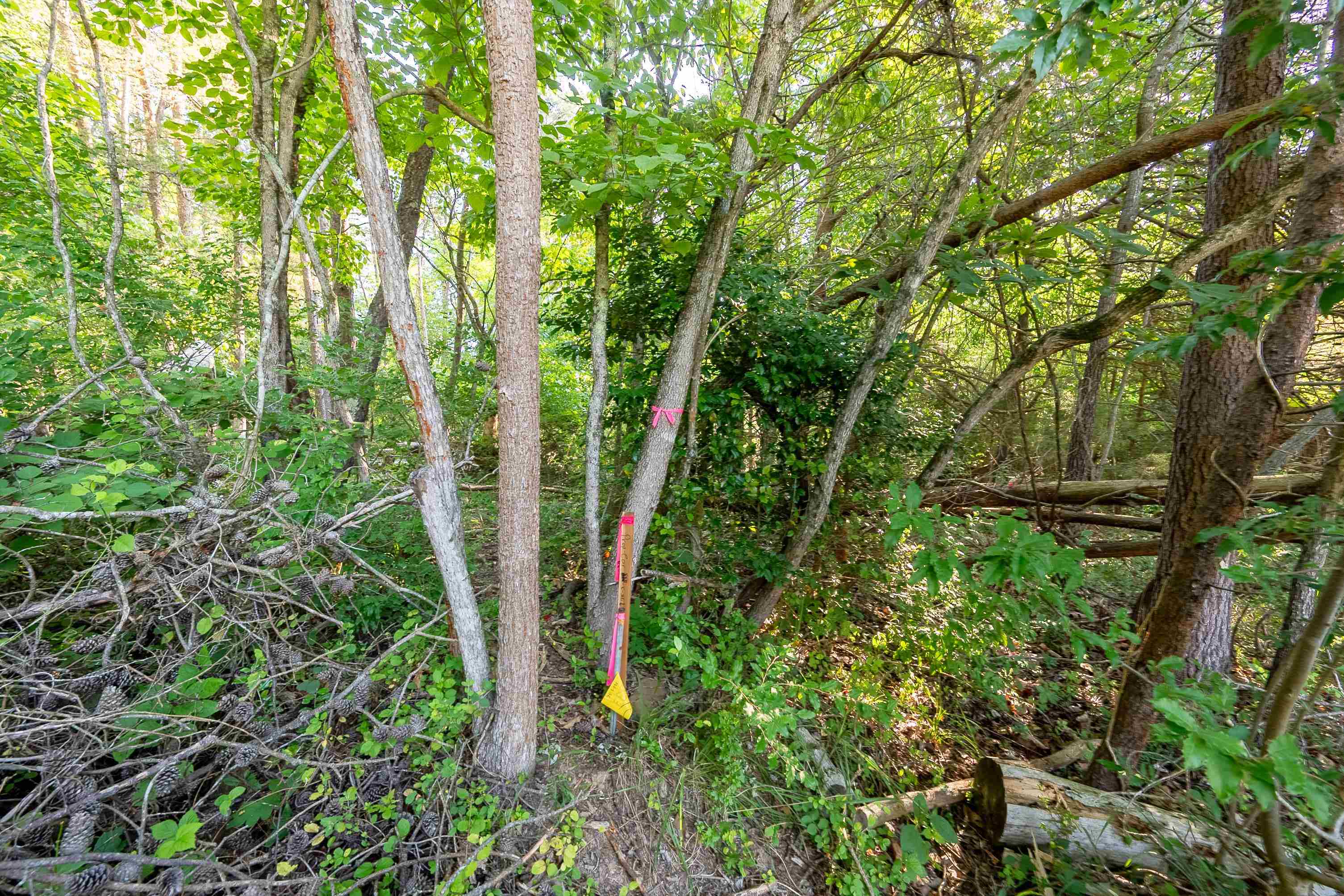 Lot 233 Appalachian Road Radford VA 24141