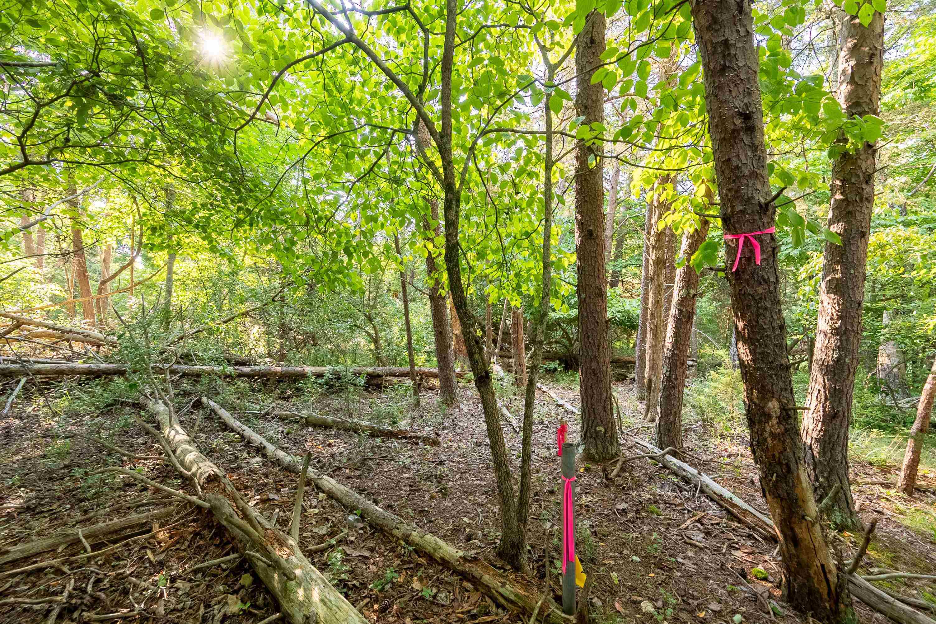 Lot 233 Appalachian Road Radford VA 24141