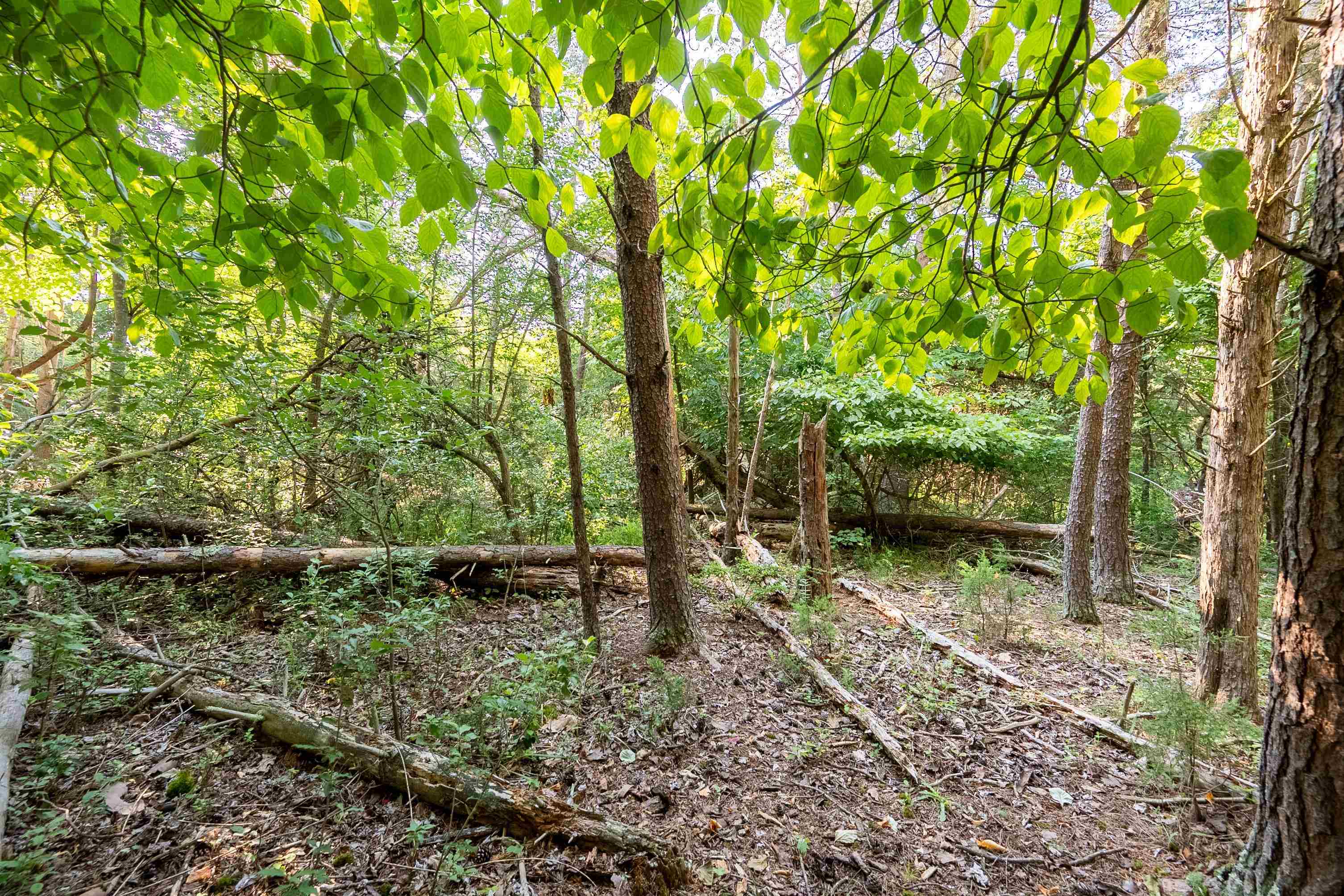 Lot 233 Appalachian Road Radford VA 24141