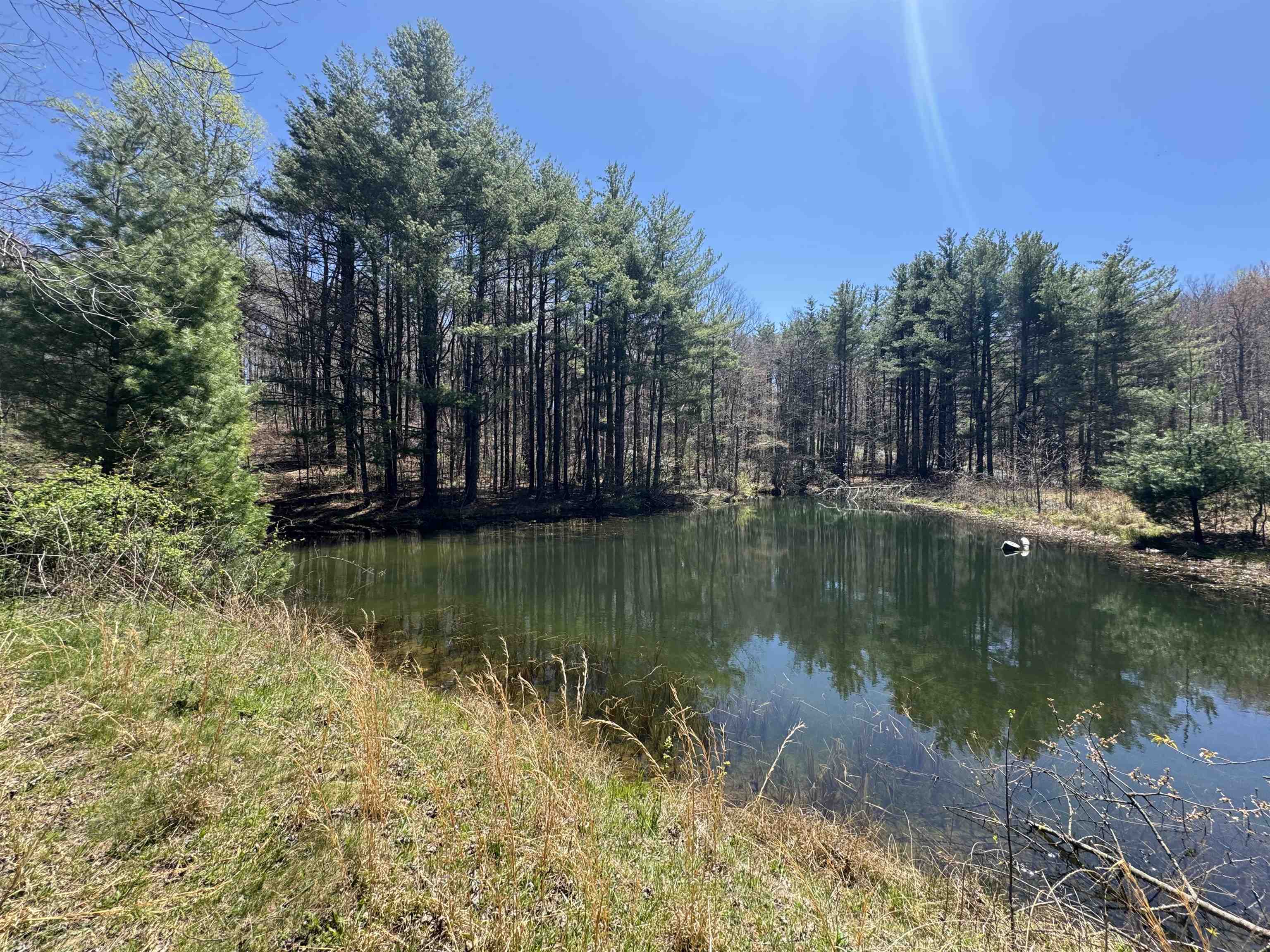 0 Cherry Creek Road Meadows Of Dan VA 24120