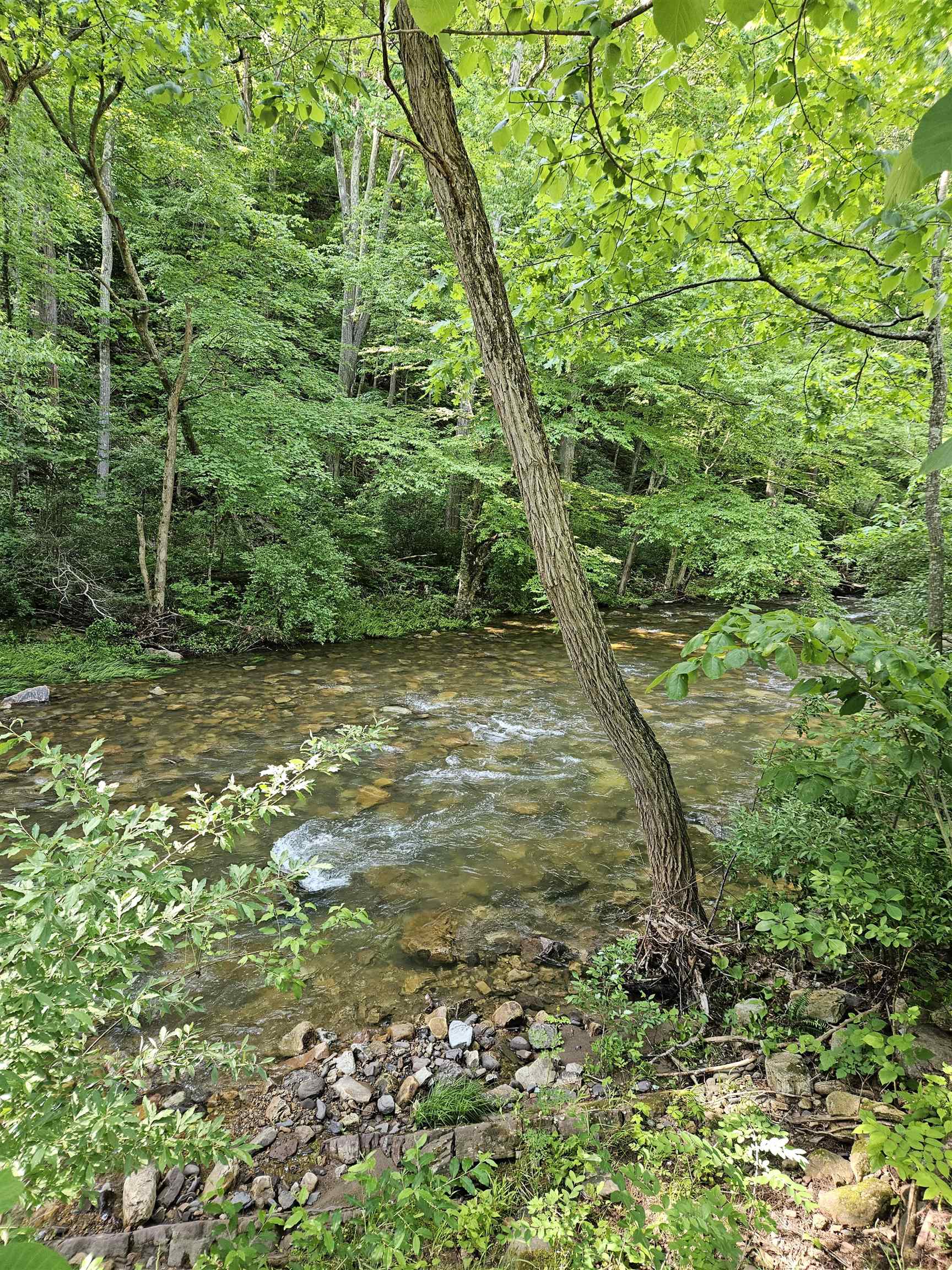 2575 Big Stony Creek Road Street Ripplemead VA 24150