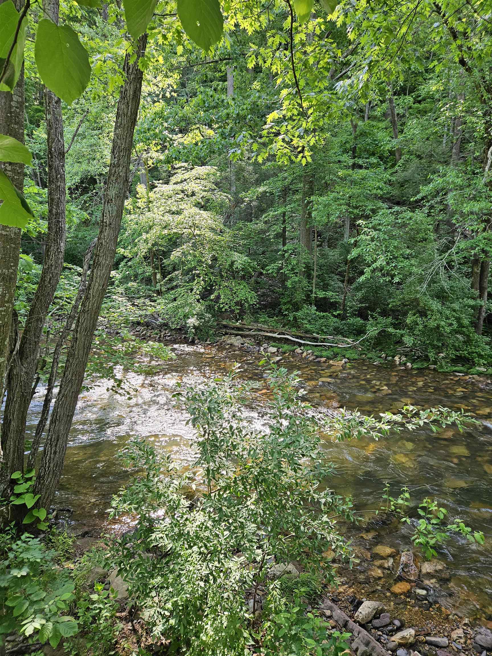 2575 Big Stony Creek Road Street Ripplemead VA 24150