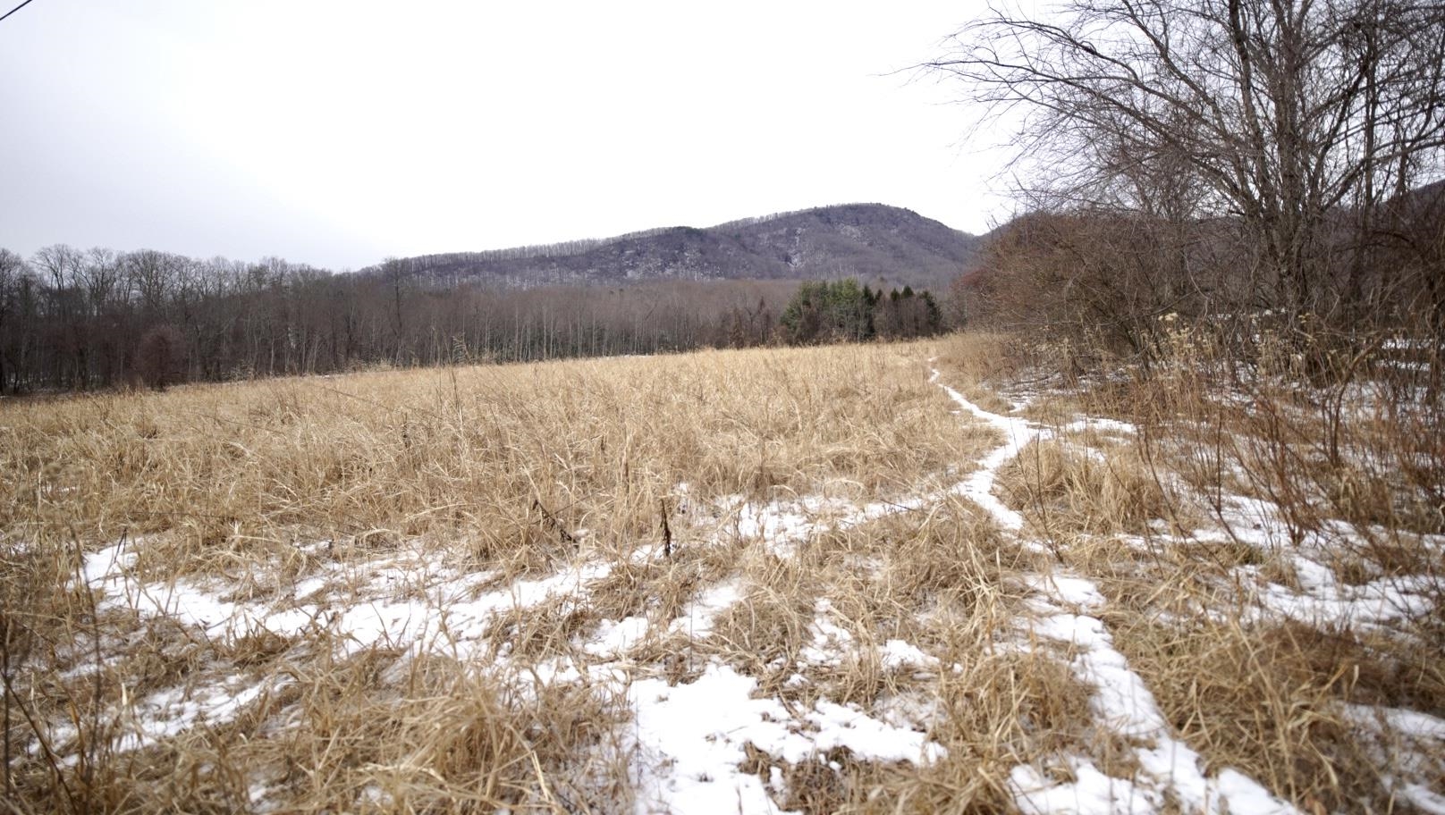 Tbd Mountian Valley Road Lambsburg VA 24351