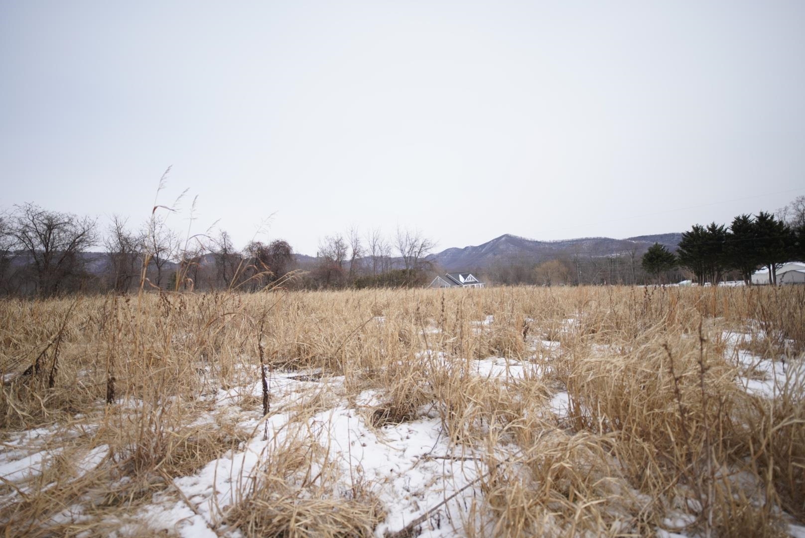 Tbd Mountian Valley Road Lambsburg VA 24351