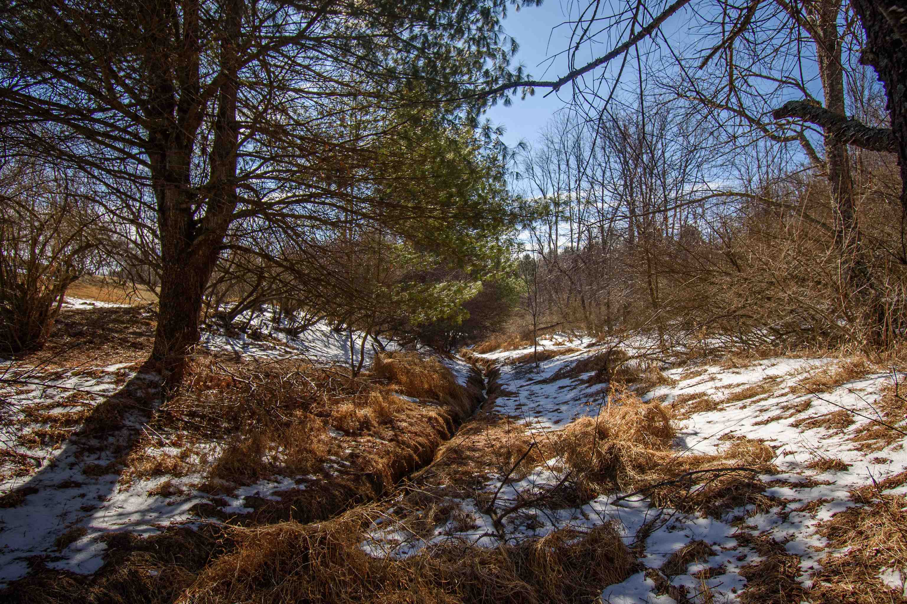 Tbd Christiansburg Pike NE Floyd VA 24091