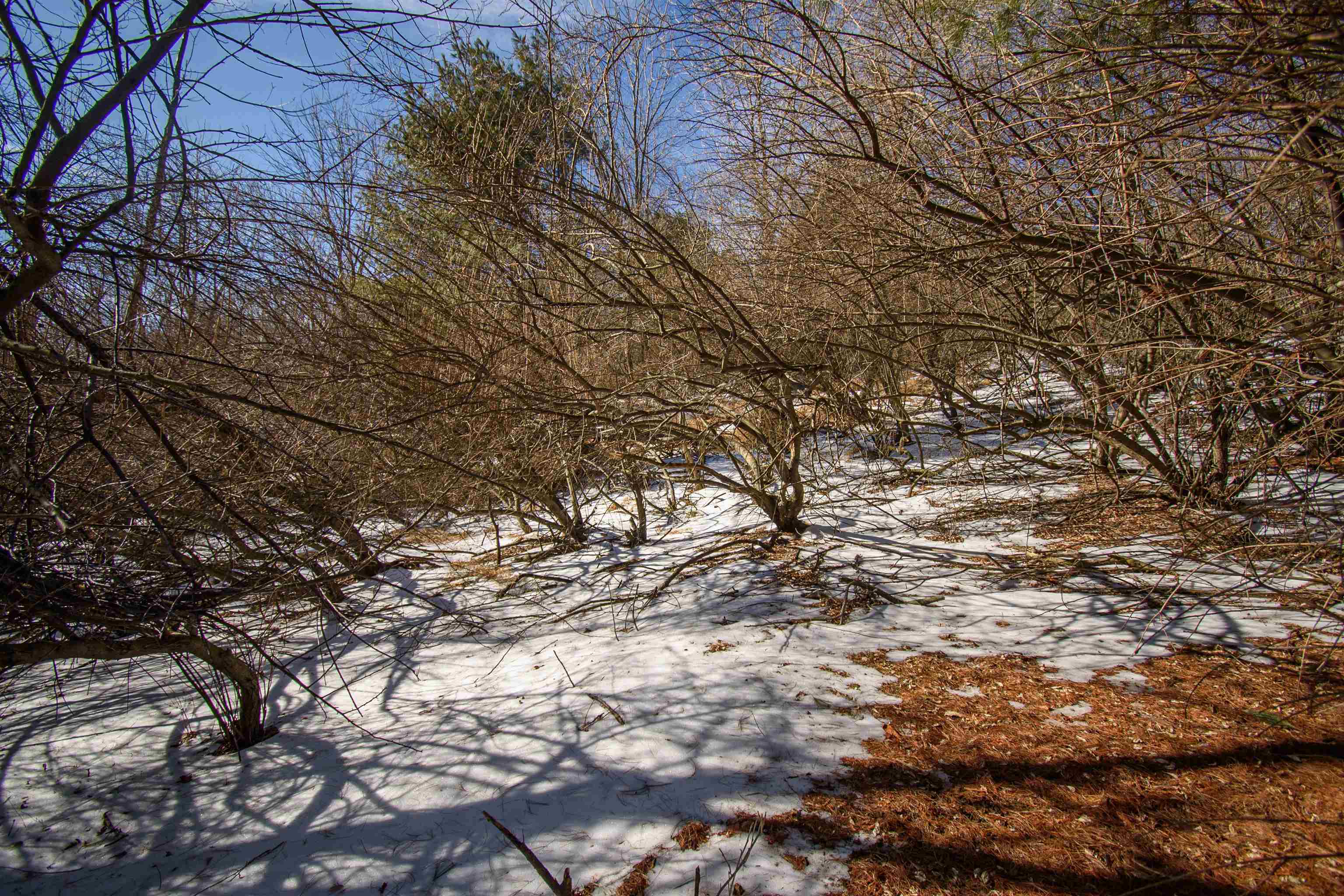 Tbd Christiansburg Pike NE Floyd VA 24091