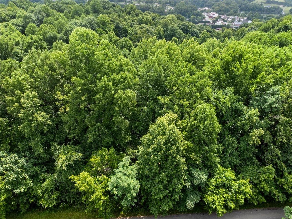 Tbd Orchard Drive Pembroke VA 24136